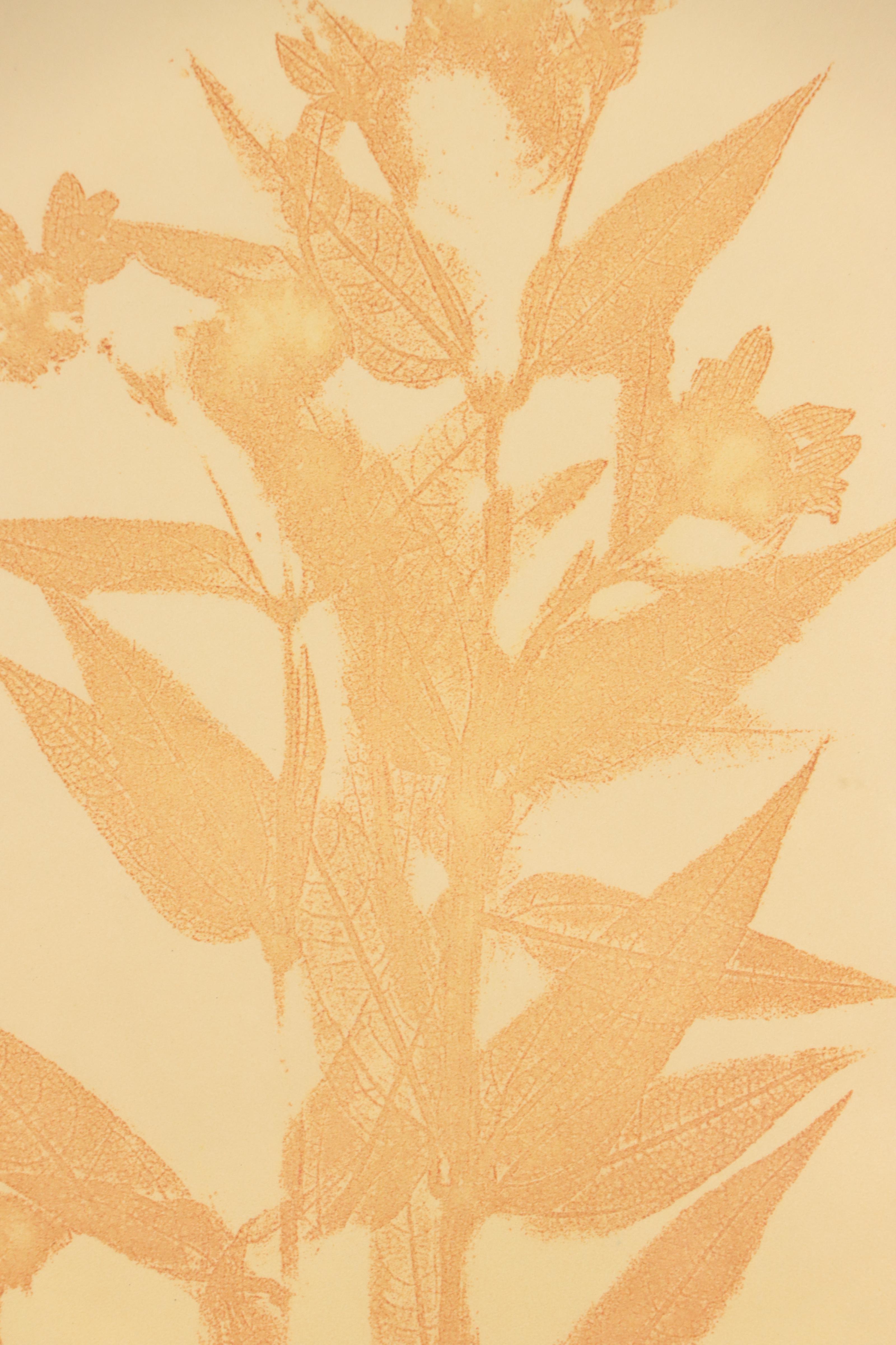 Soft Ground Etchings Including "Mist In The Morning," 1980