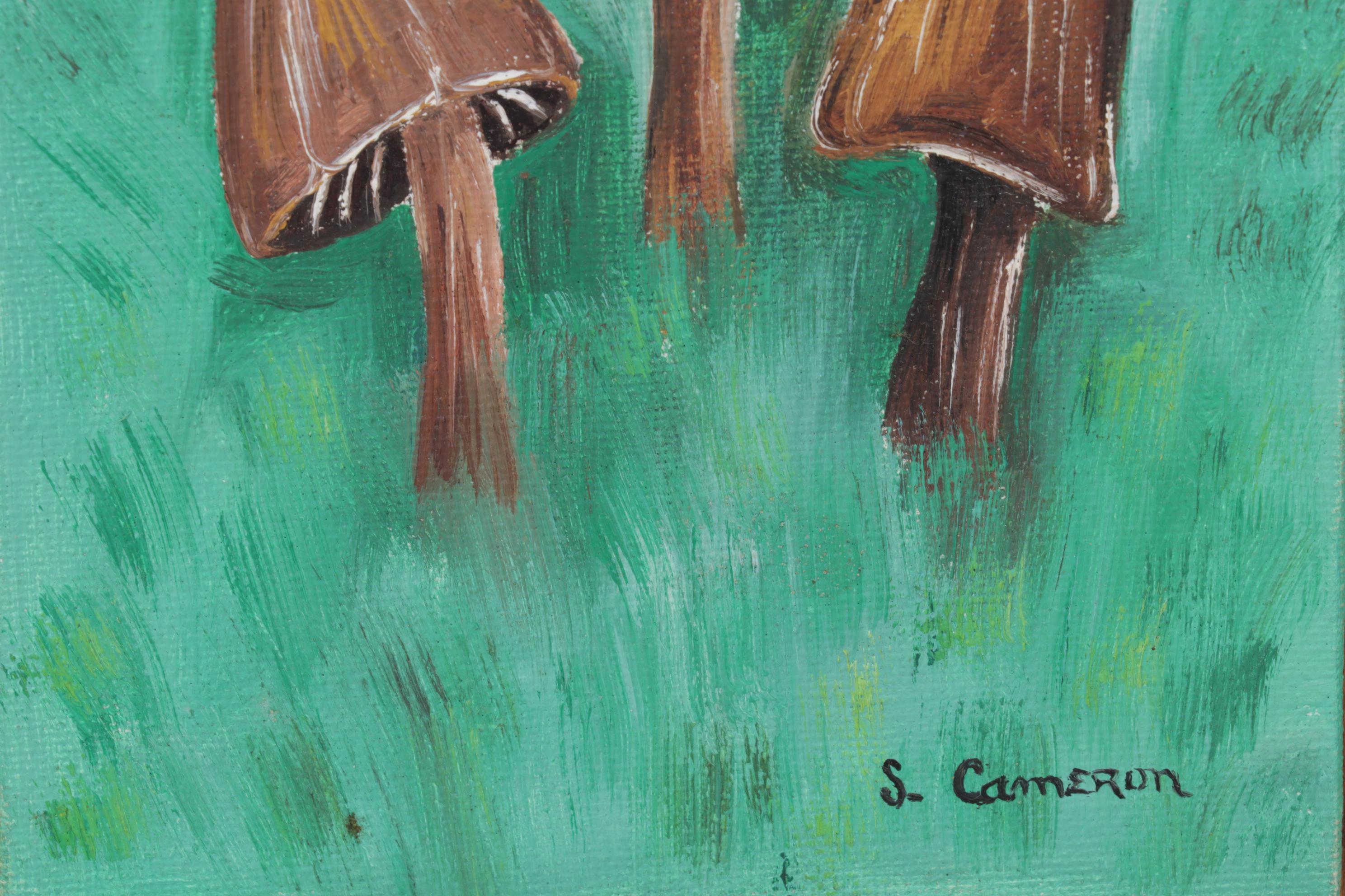 Tourist Watercolor and Oil Painting of Mushrooms