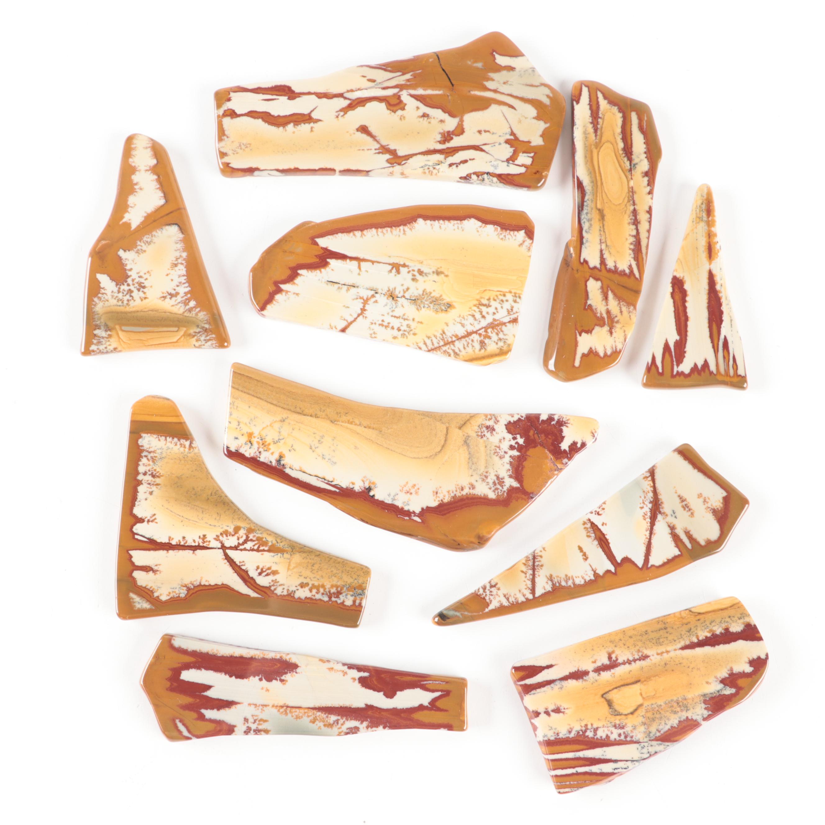 Stone Canyon Jasper Slabs and Fragments