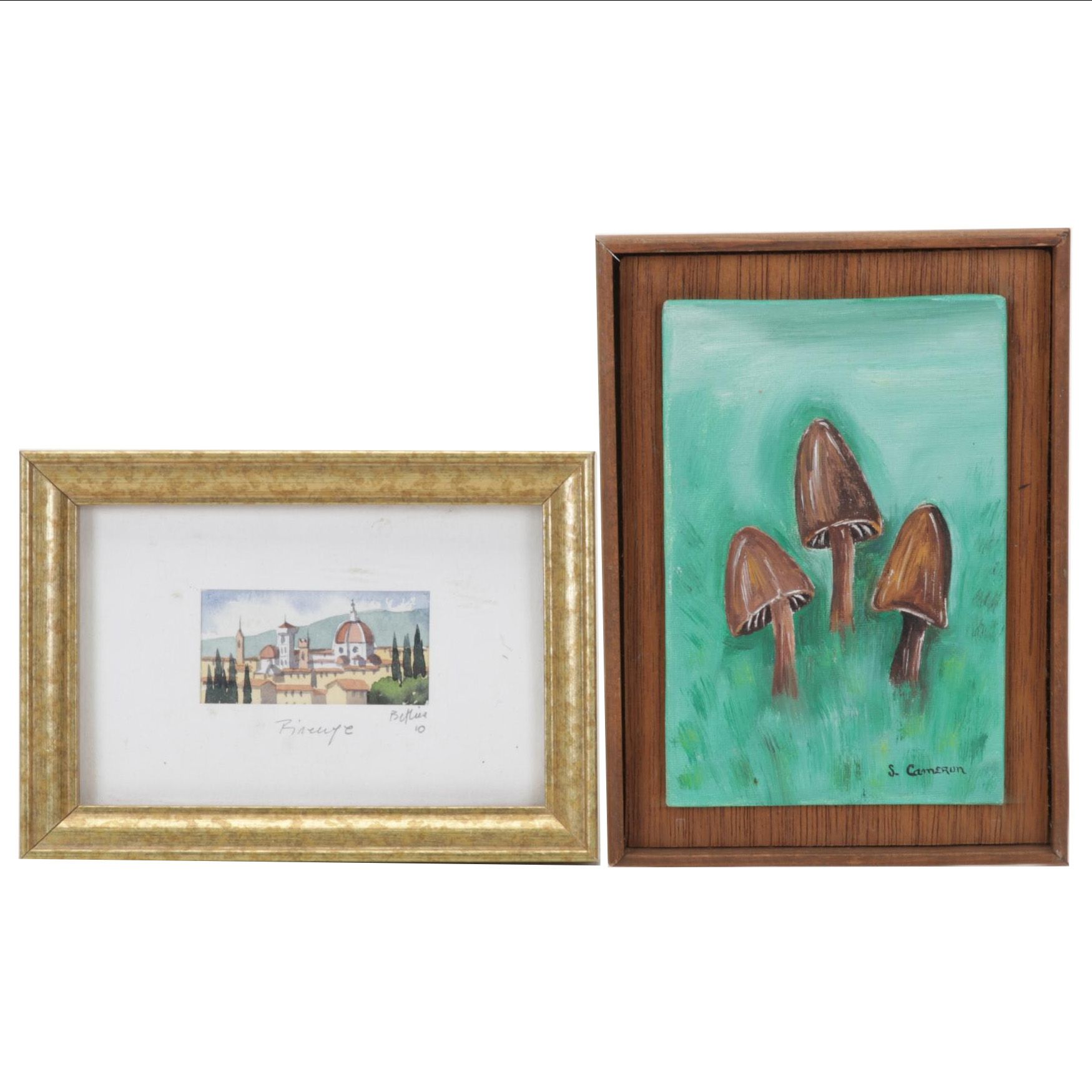 Tourist Watercolor and Oil Painting of Mushrooms