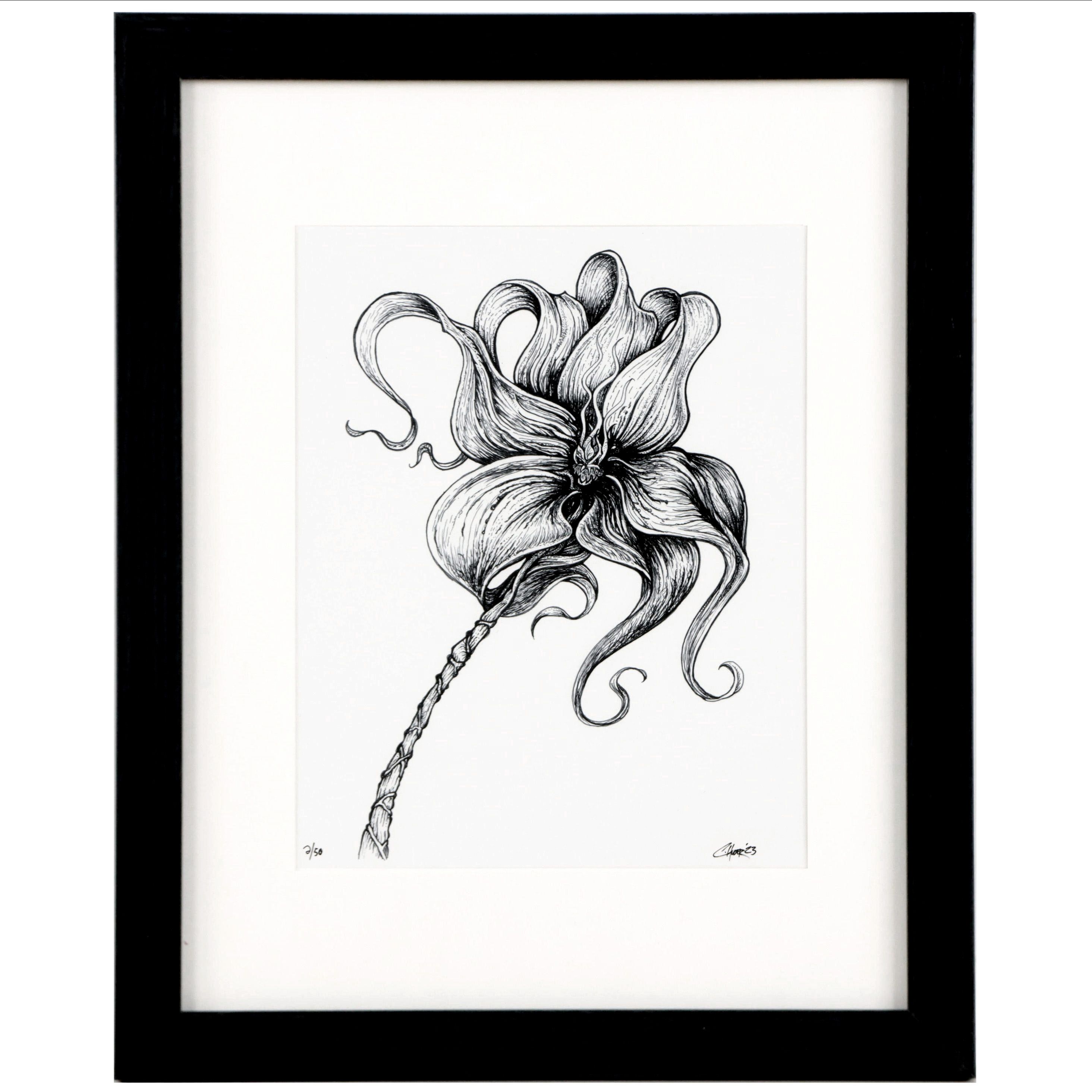 Chris Huber Giclée "Angry Lily," 2023