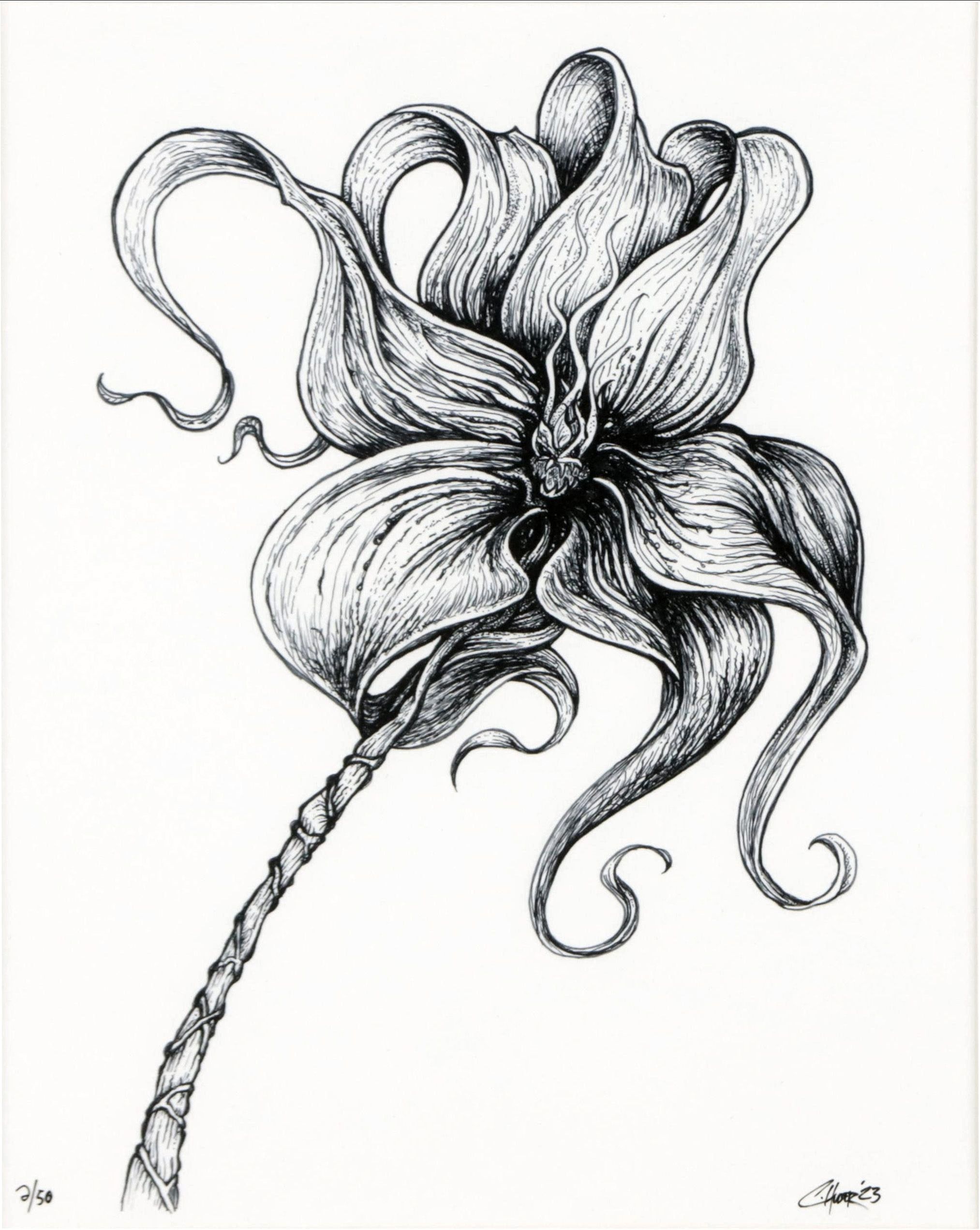 Chris Huber Giclée "Angry Lily," 2023