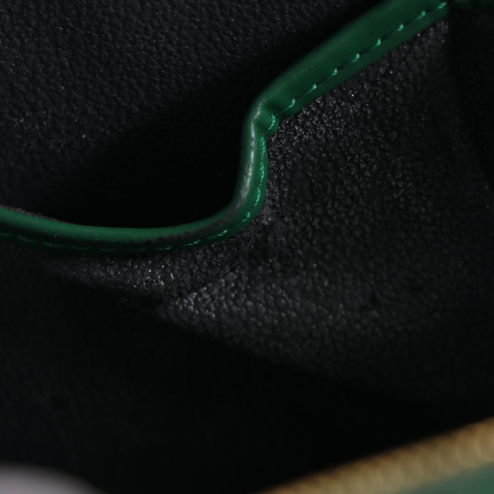 Louis Vuitton Riviera Top Handle Bag in Borneo Green Epi Leather