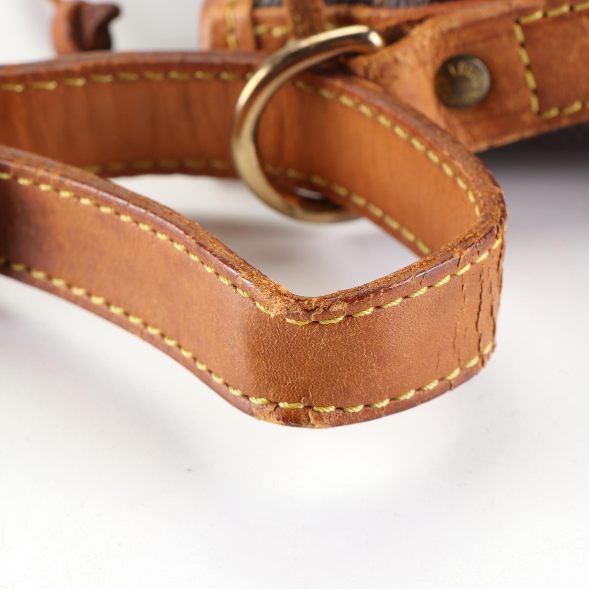 Louis Vuitton Noé Drawstring Bucket Bag in Monogram Canvas and Vachetta Leather