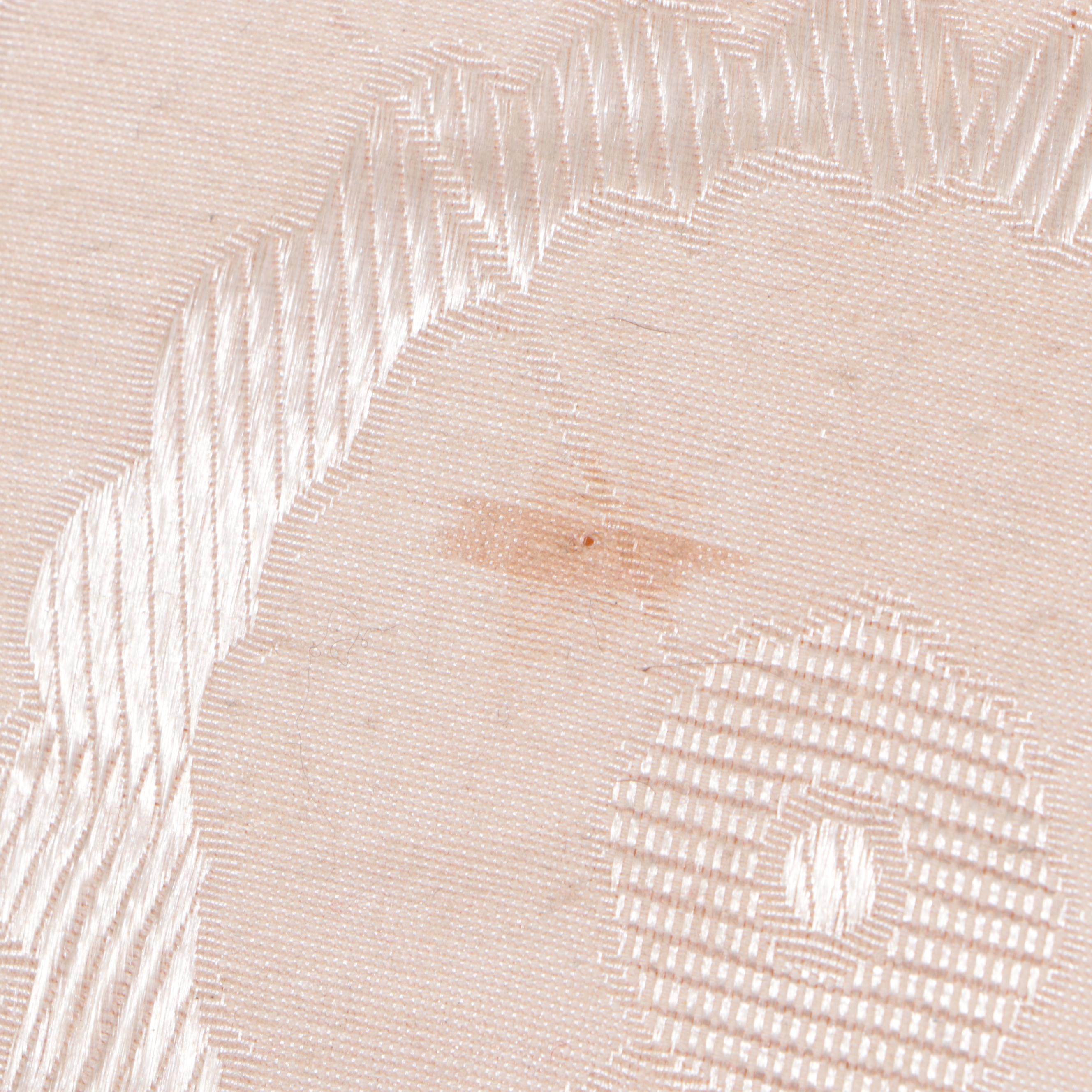 The Bombay Company Fabric-Lined Styrofoam Dress Form on Hardwood Stand