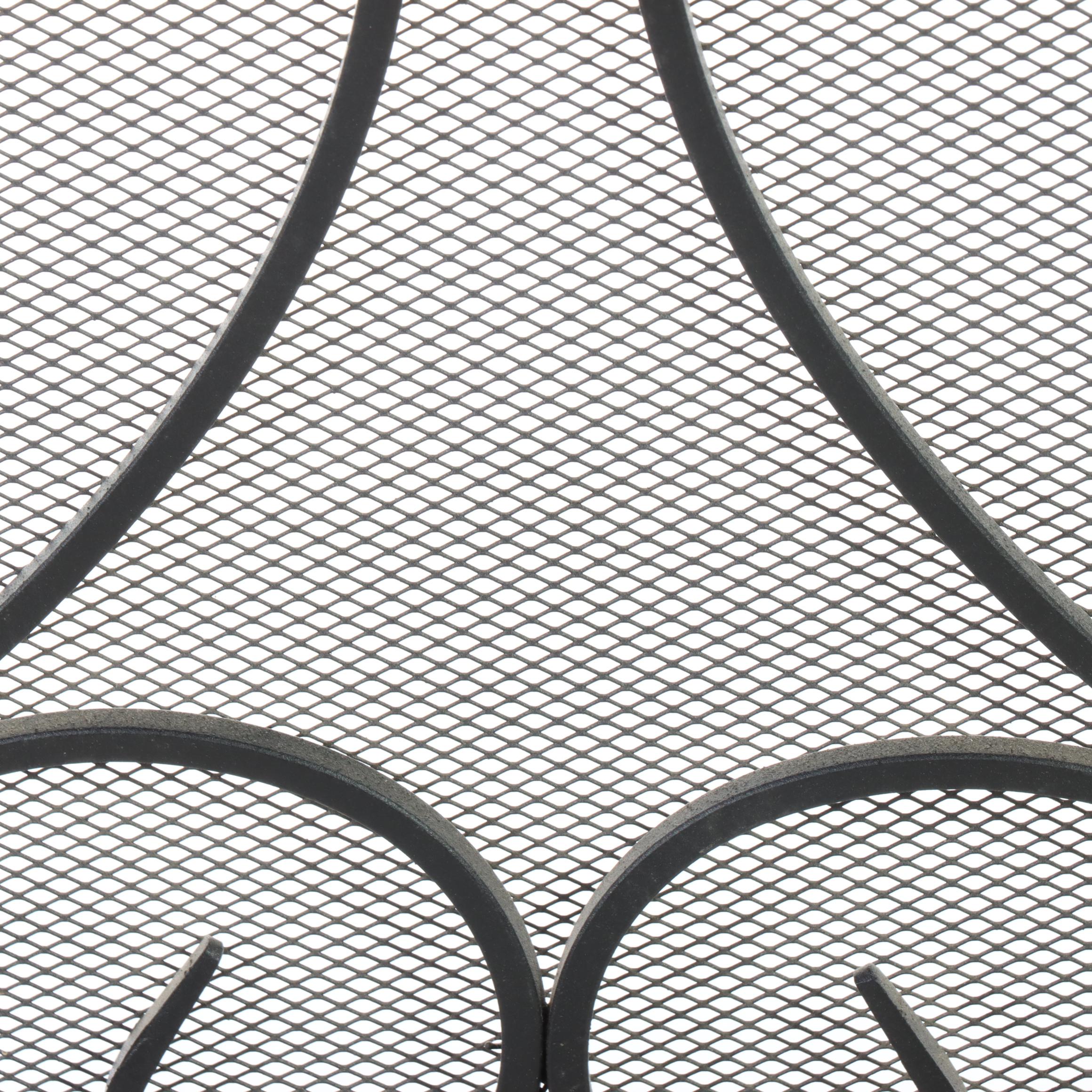 Two Iron and Wire Mesh Fire Screens, Incl. Ana Reza-Hadden for Crate and Barrel