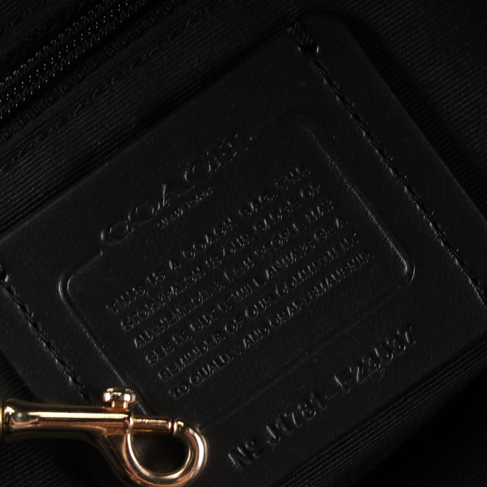 Coach Lexy Small Shoulder Bag