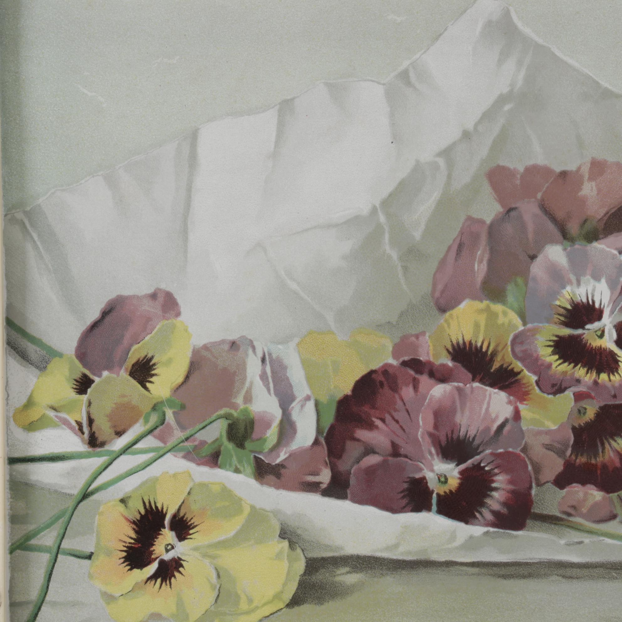 Color Lithograph After P. de Longpré "Spring Favorites" With Watercolor Painting