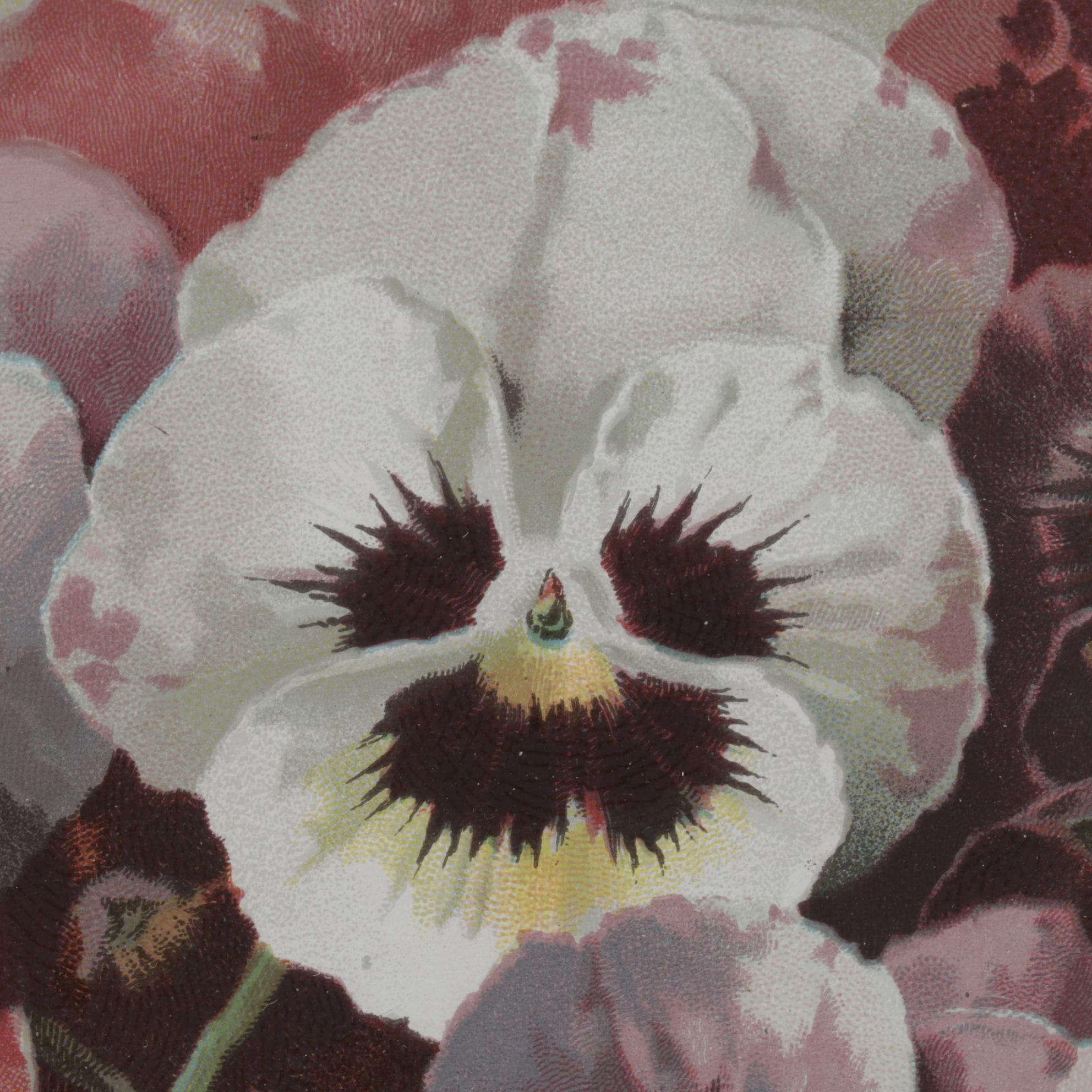 Color Lithograph After P. de Longpré "Spring Favorites" With Watercolor Painting