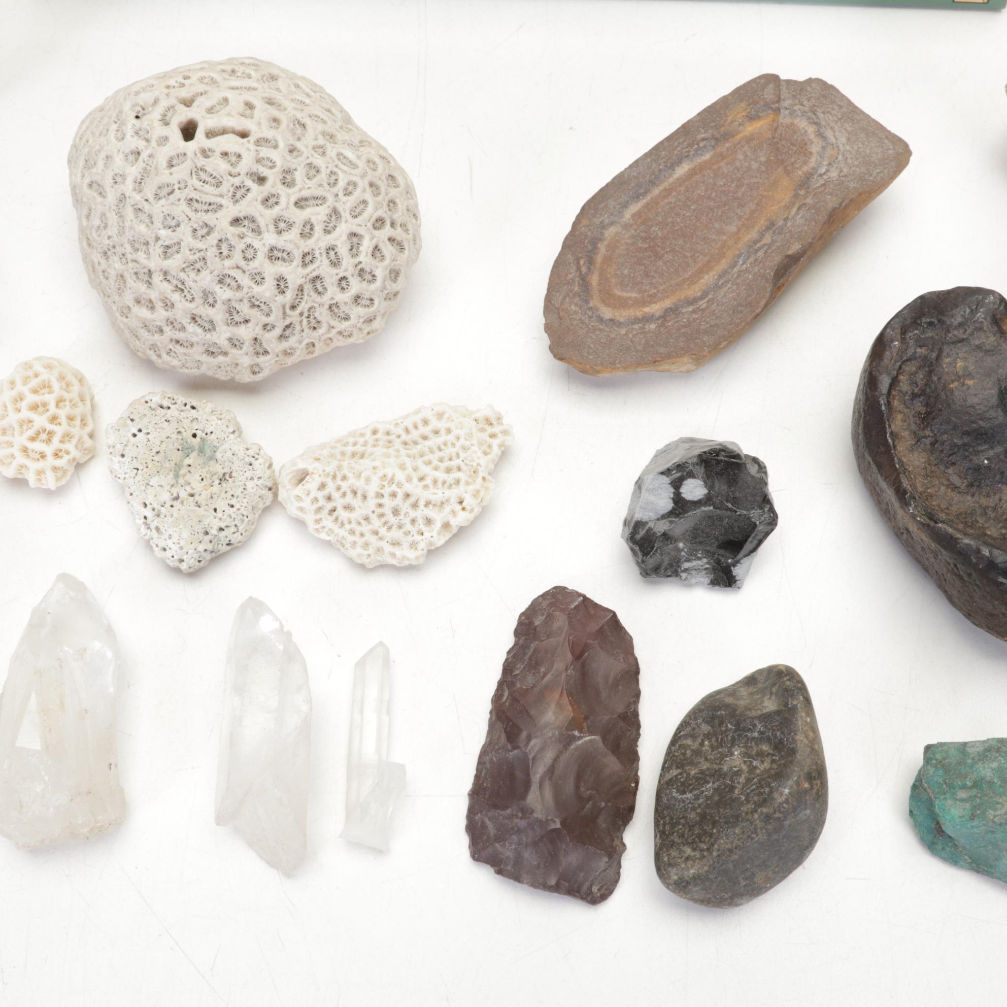 Pink Salt Lamp, Selenite Lamp, Fossils, Minerals, Shells and Mythology Books