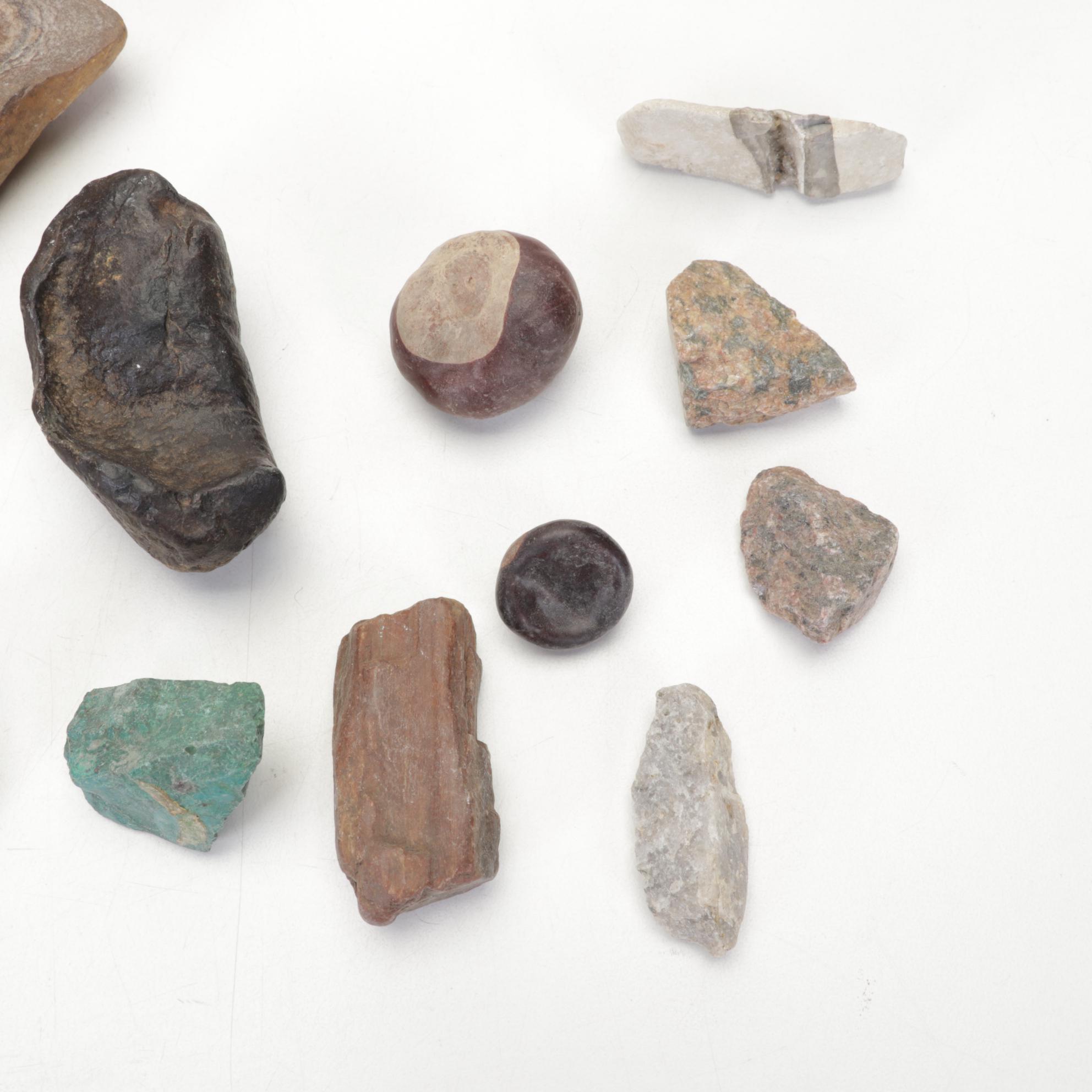 Pink Salt Lamp, Selenite Lamp, Fossils, Minerals, Shells and Mythology Books