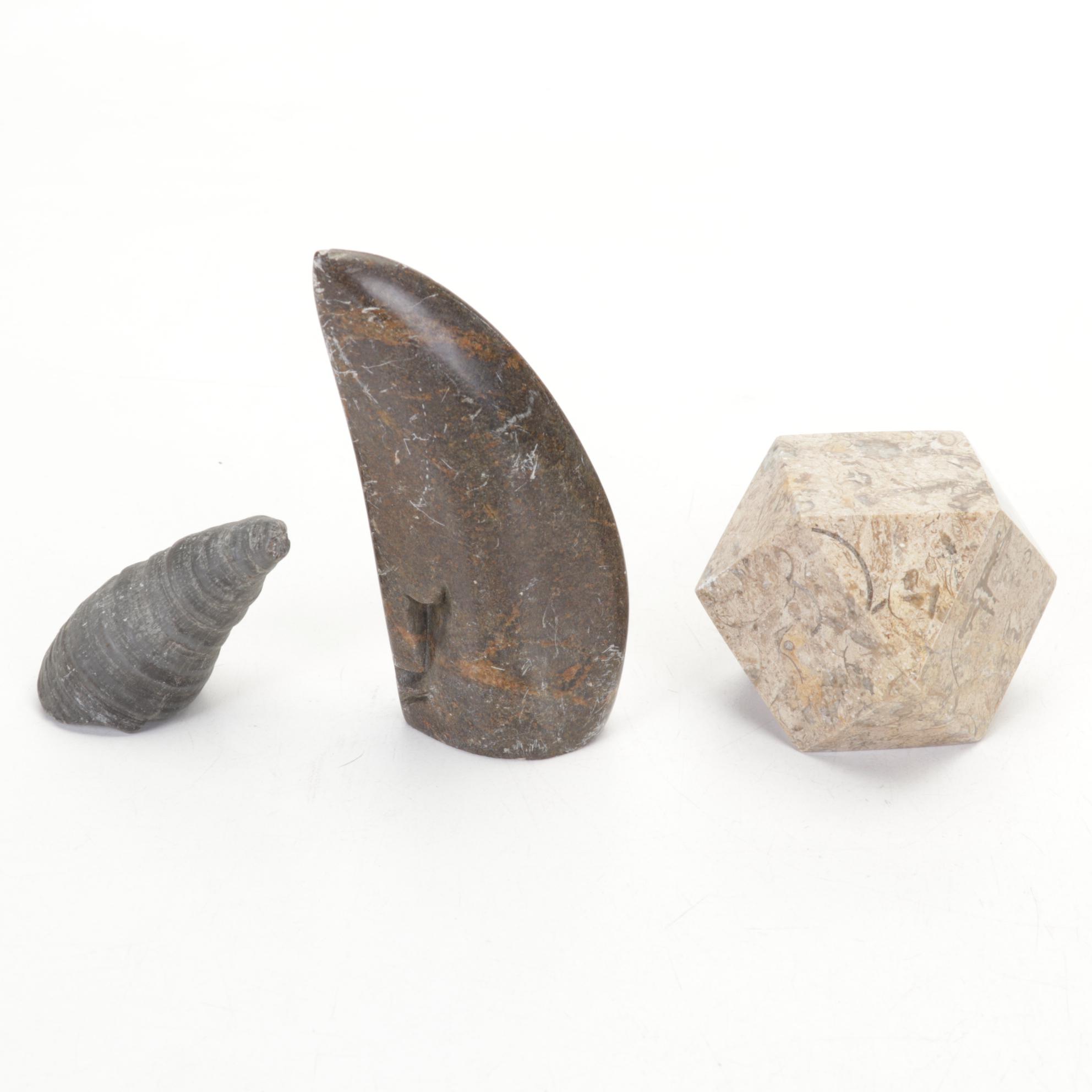 Pink Salt Lamp, Selenite Lamp, Fossils, Minerals, Shells and Mythology Books