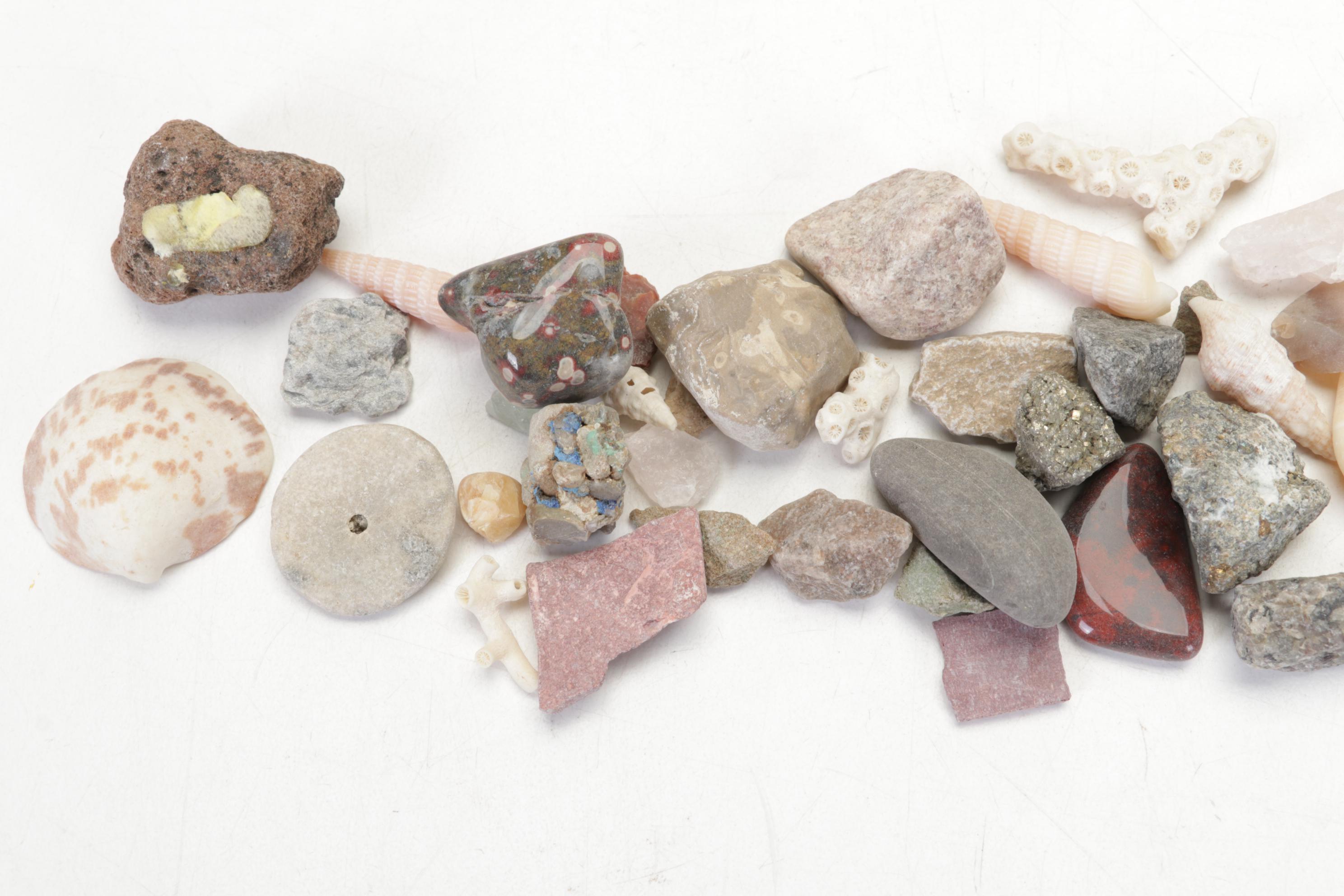 Pink Salt Lamp, Selenite Lamp, Fossils, Minerals, Shells and Mythology Books