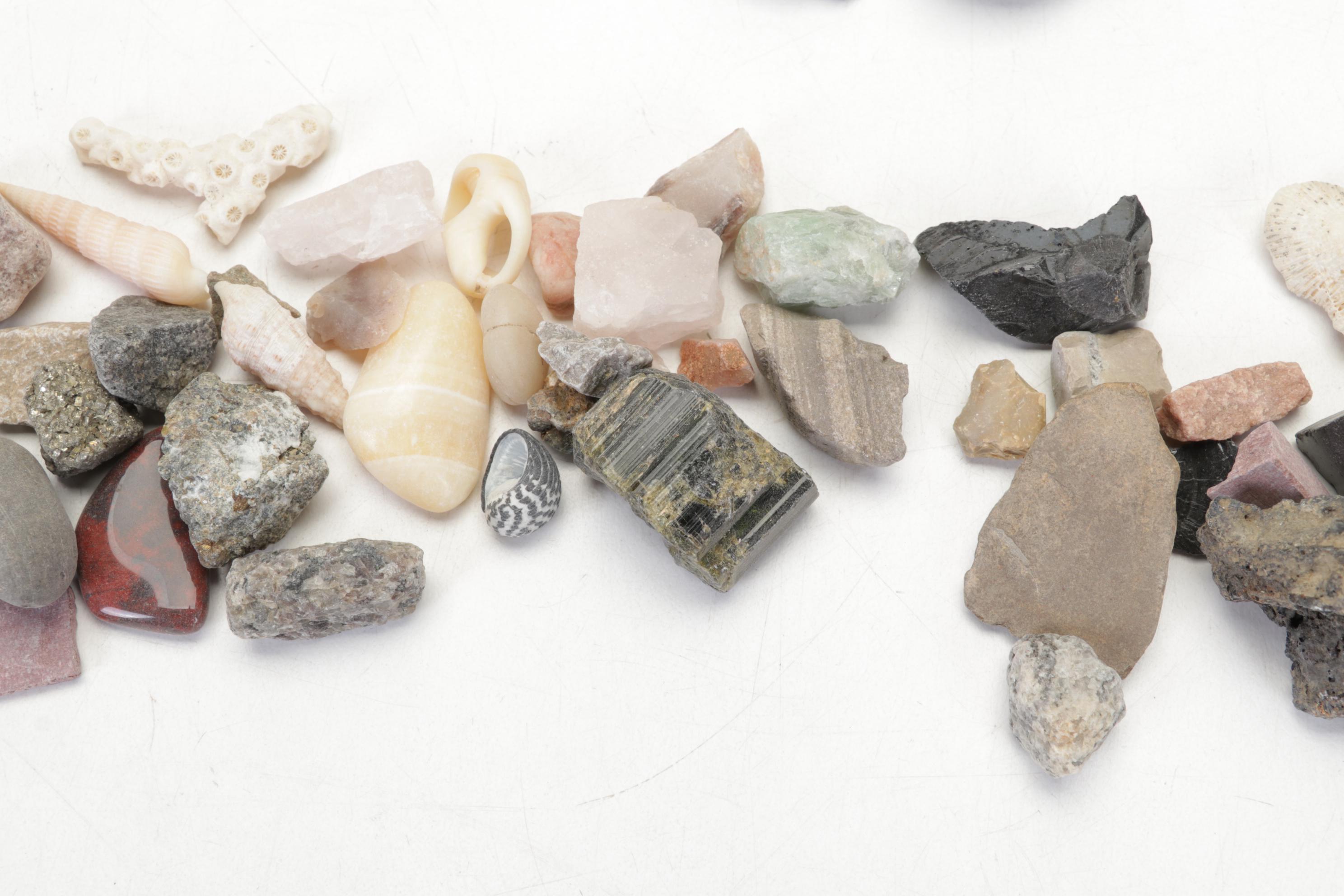 Pink Salt Lamp, Selenite Lamp, Fossils, Minerals, Shells and Mythology Books