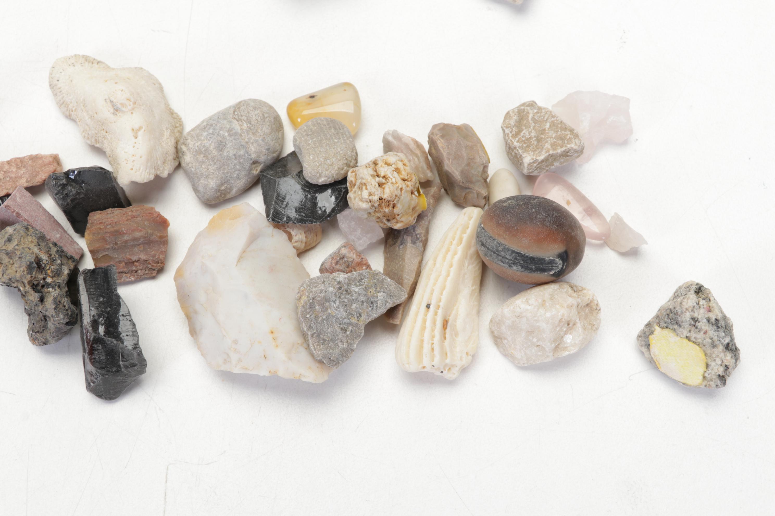 Pink Salt Lamp, Selenite Lamp, Fossils, Minerals, Shells and Mythology Books