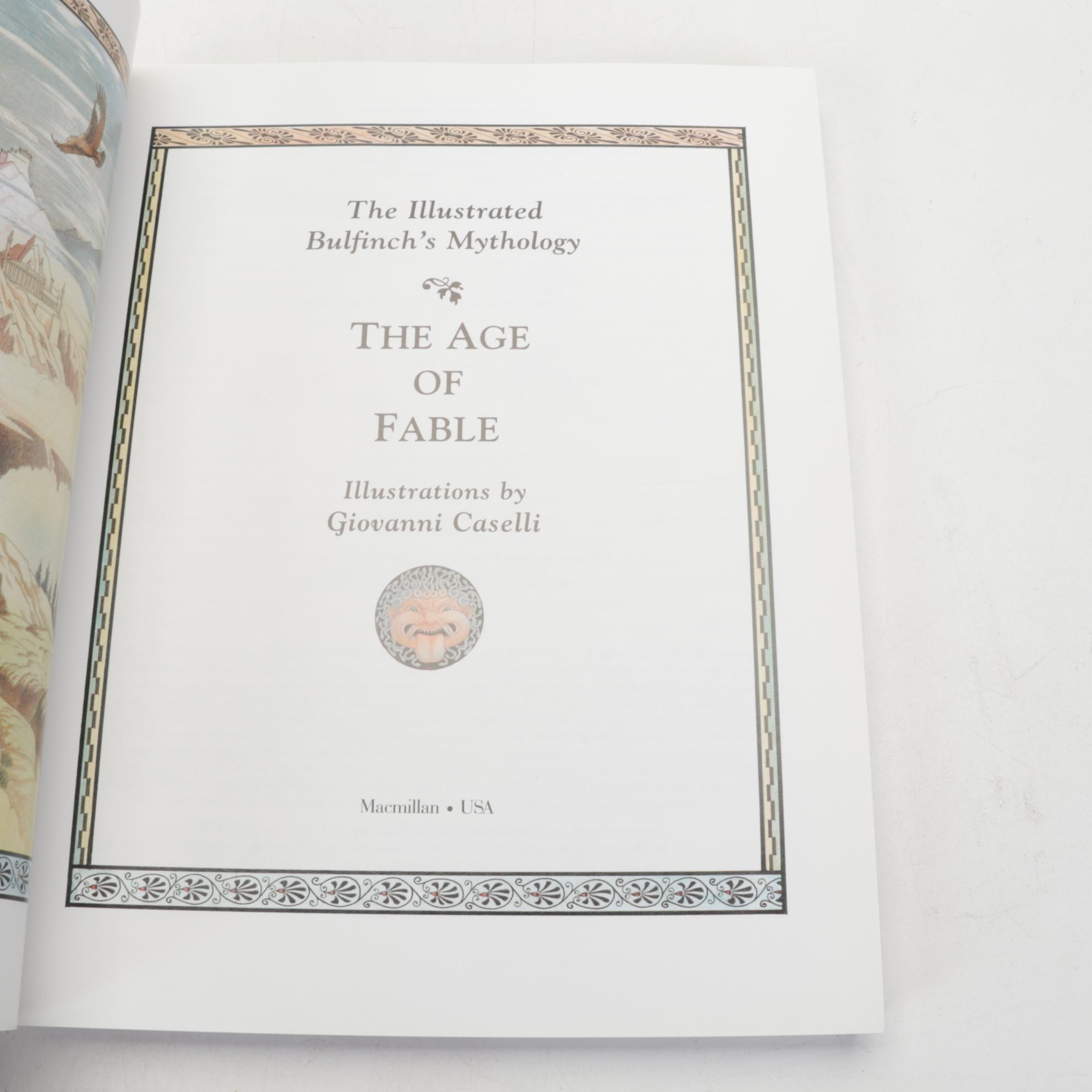 Pink Salt Lamp, Selenite Lamp, Fossils, Minerals, Shells and Mythology Books