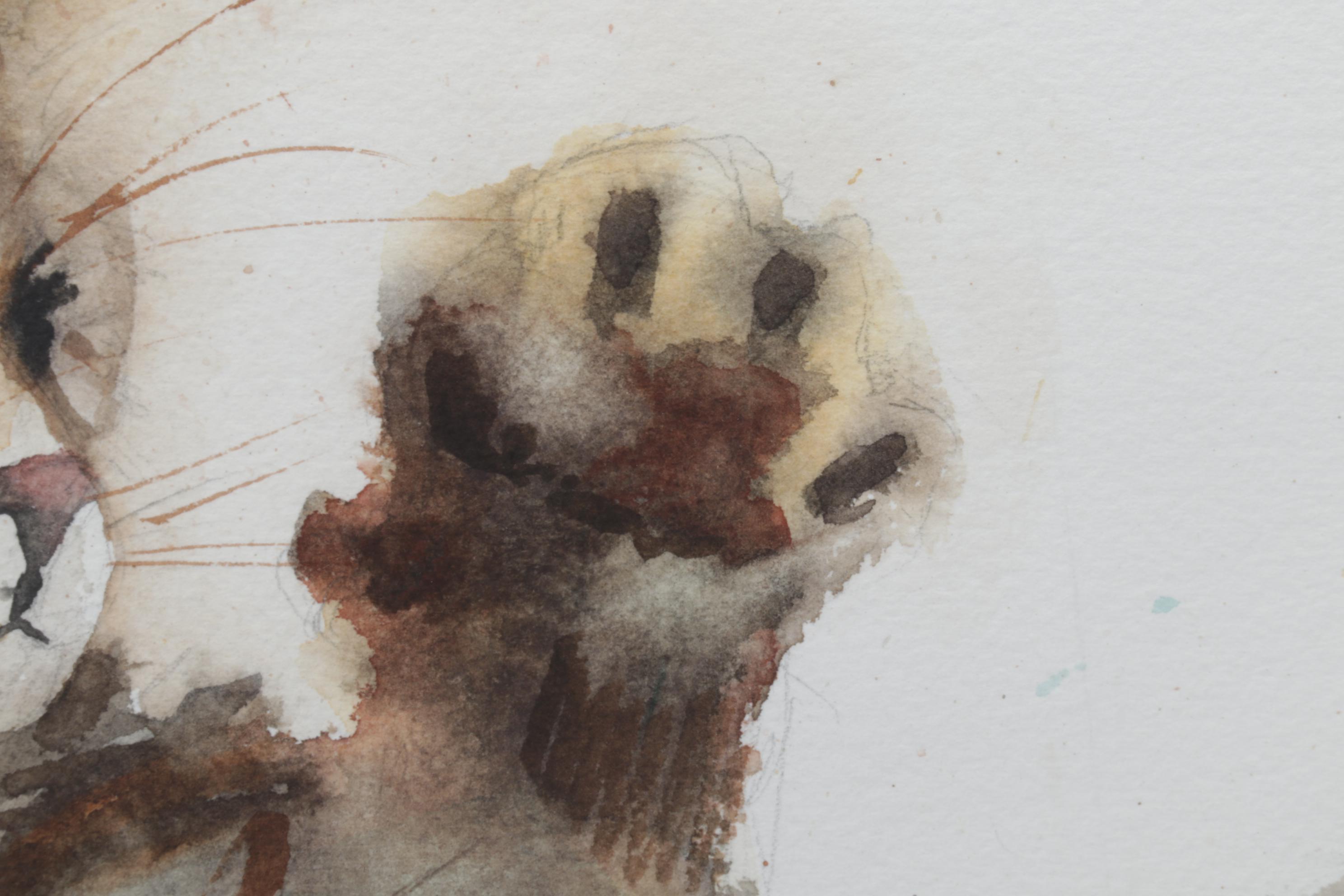 Jean Hall Tonk Cat Portrait Watercolor Painting, Late 20th Century