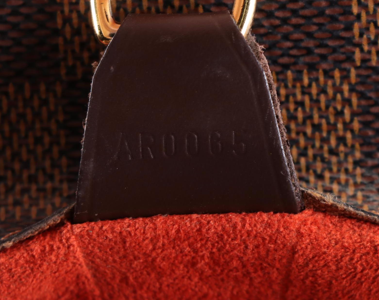 Louis Vuitton Parioli PM Bag in Damier Ebene Canvas