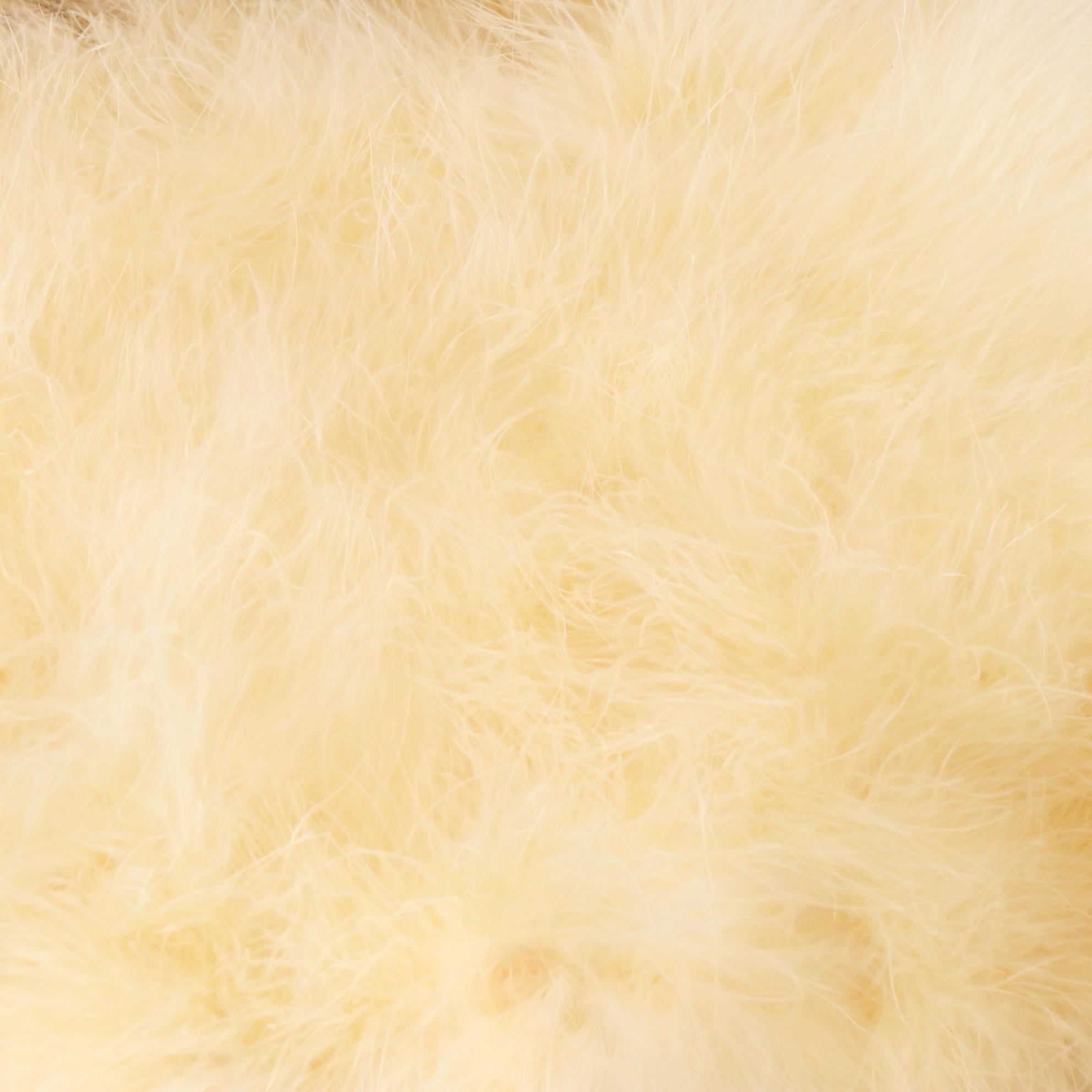 Sharon Kay Terry Marabou Feather, Fox Fur, and Black Bear Fur Collar Accessories
