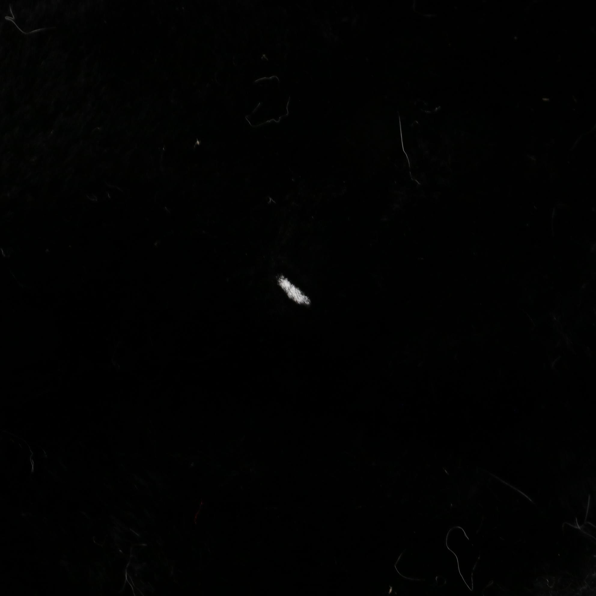 Vintage Mesh Whimsy Hat, Chicken Feather and Rabbit Fur Headbands, and Fur Calot