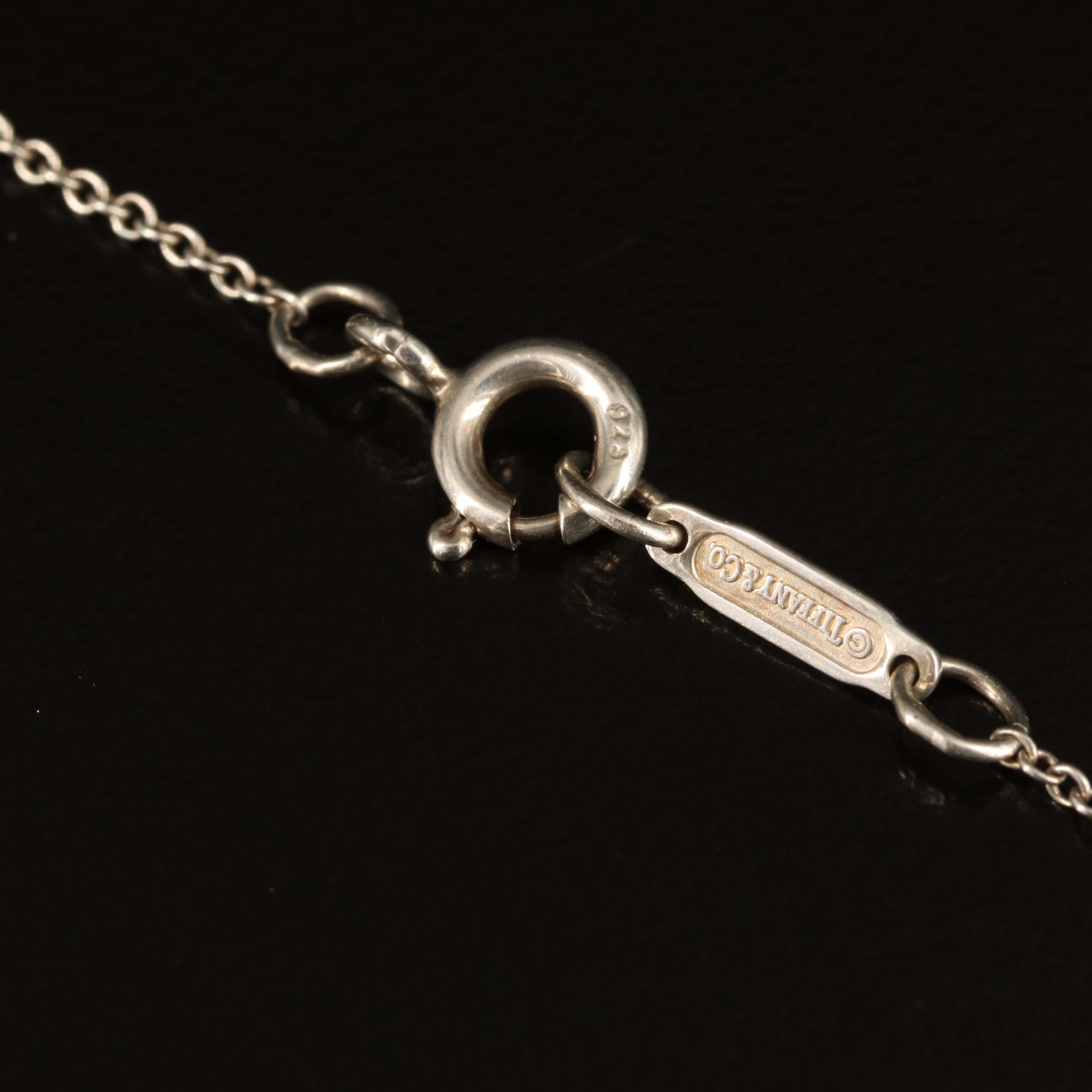 Elsa Peretti for Tiffany & Co. Pendant on Tiffany & Co. Chain in Sterling