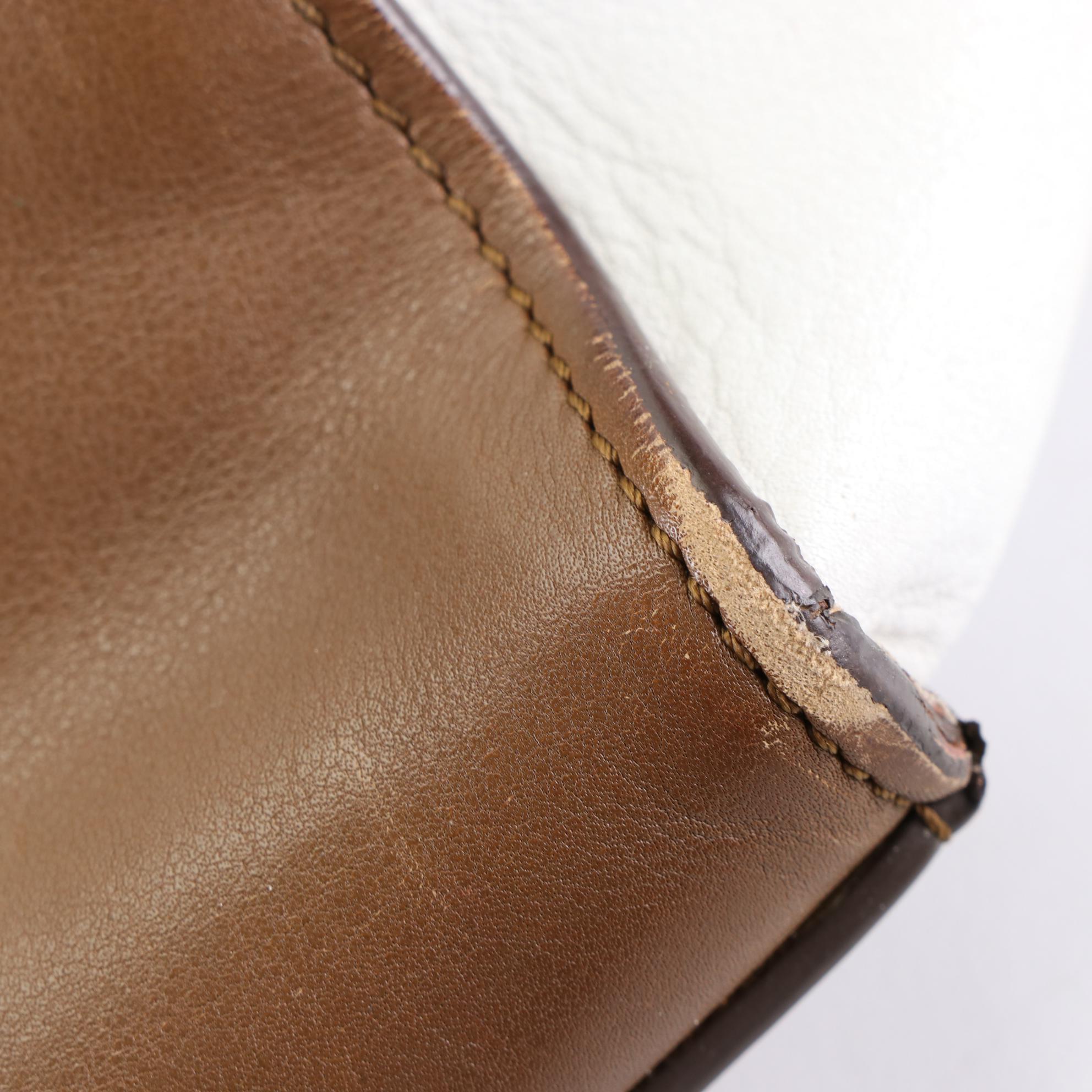 Céline Medium Trapeze Bag in Tricolor Leather and Suede