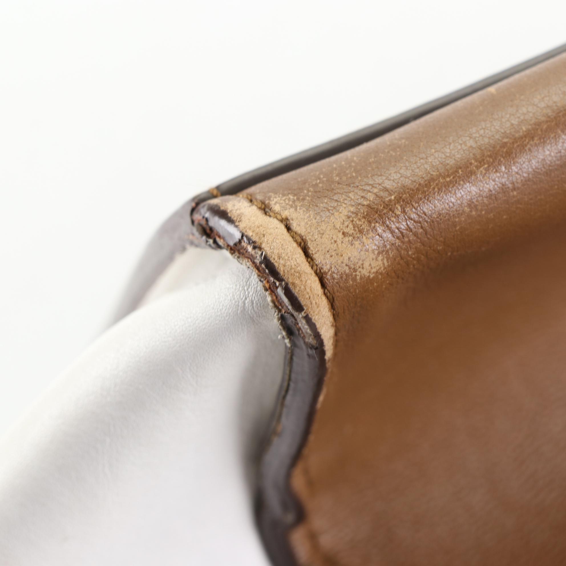 Céline Medium Trapeze Bag in Tricolor Leather and Suede