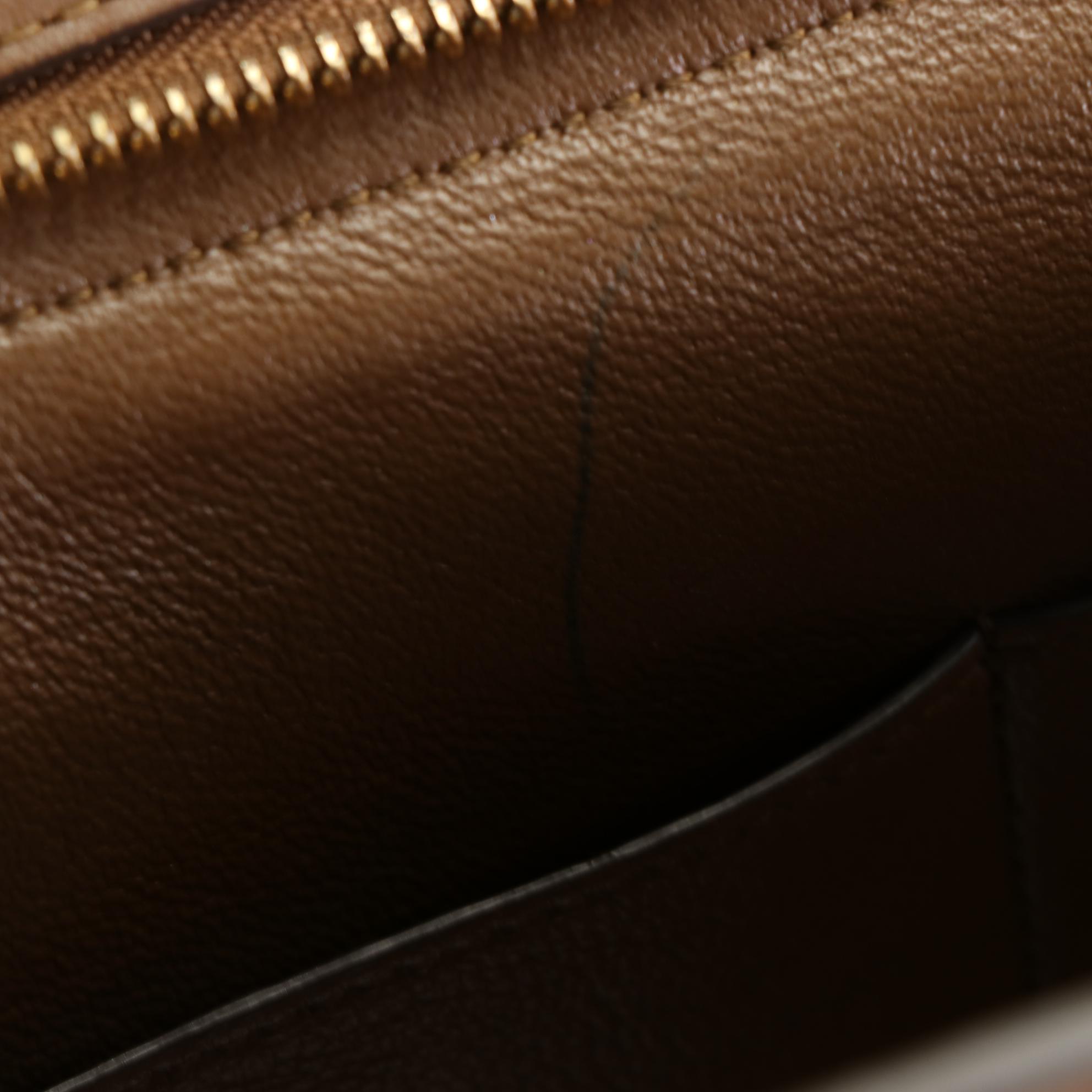 Céline Medium Trapeze Bag in Tricolor Leather and Suede