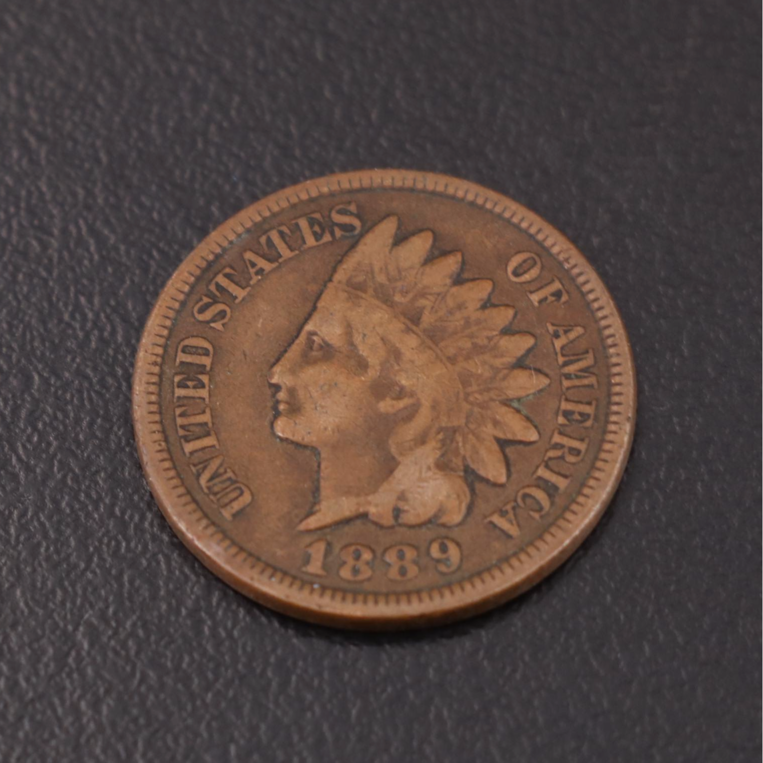 One Hundred-Thirteen Indian Head Cents