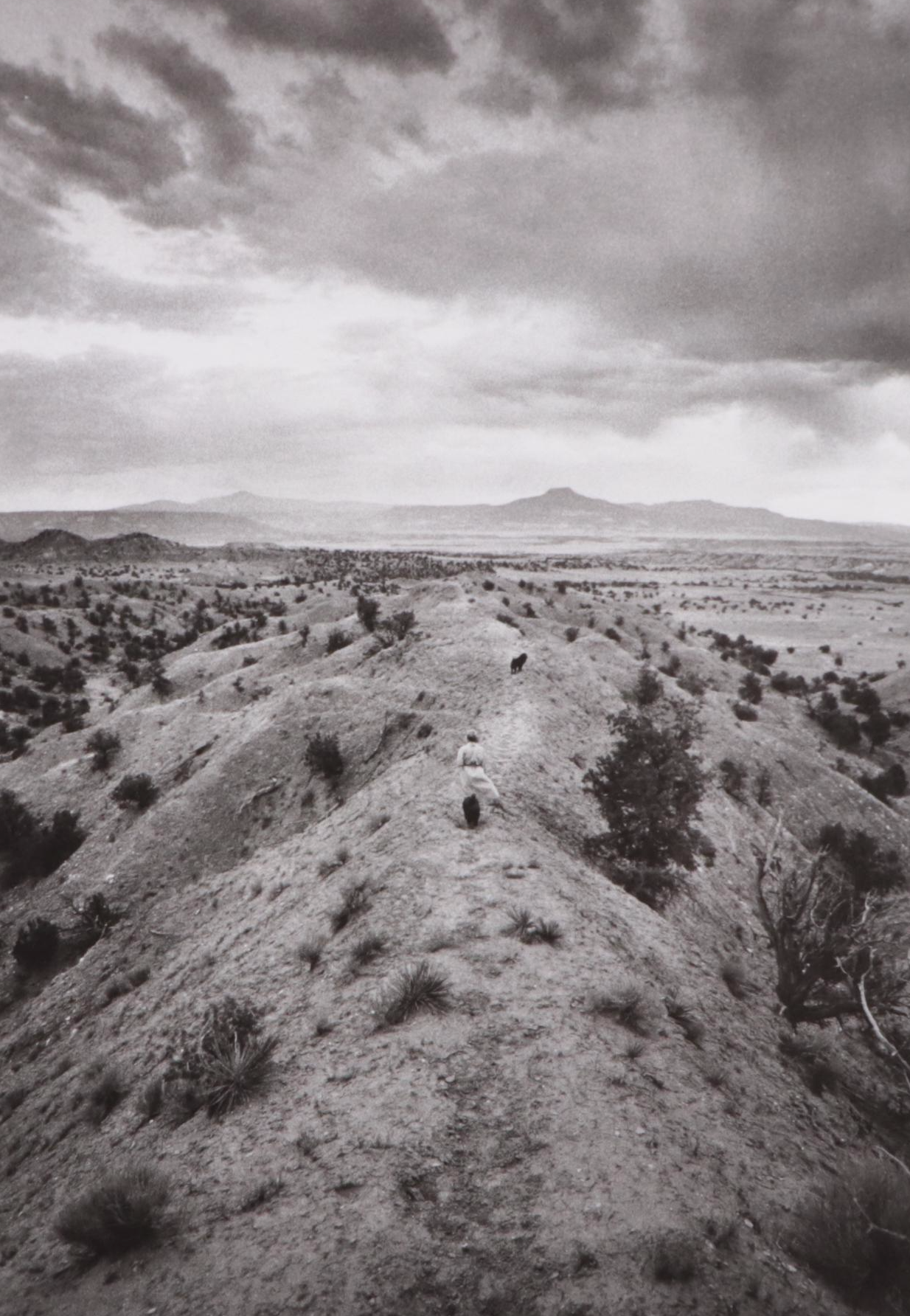 First Edition "Georgia O'Keeffe: In the West" and More