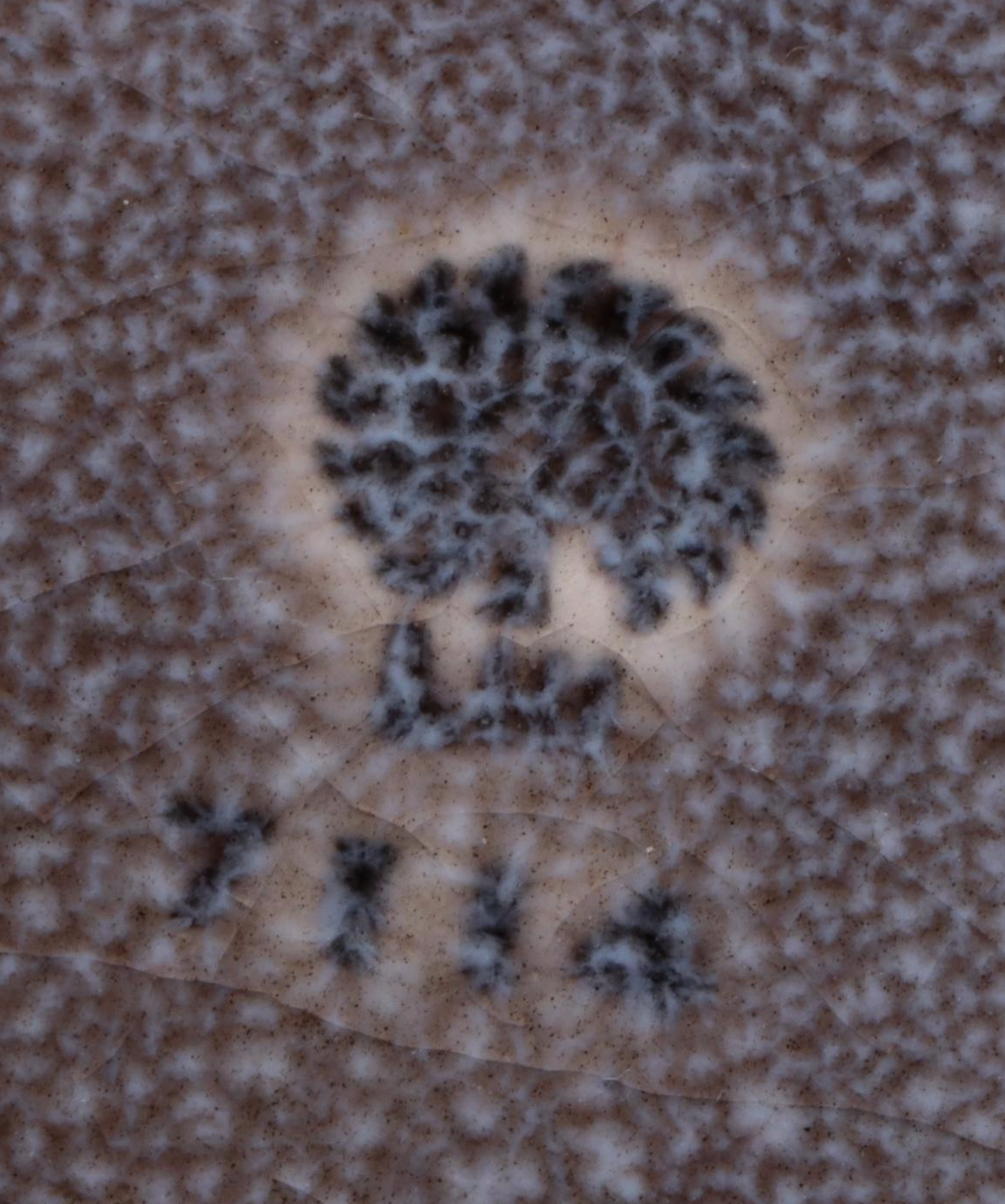 Rookwood Pottery High Gloss Ceramic Vase and More