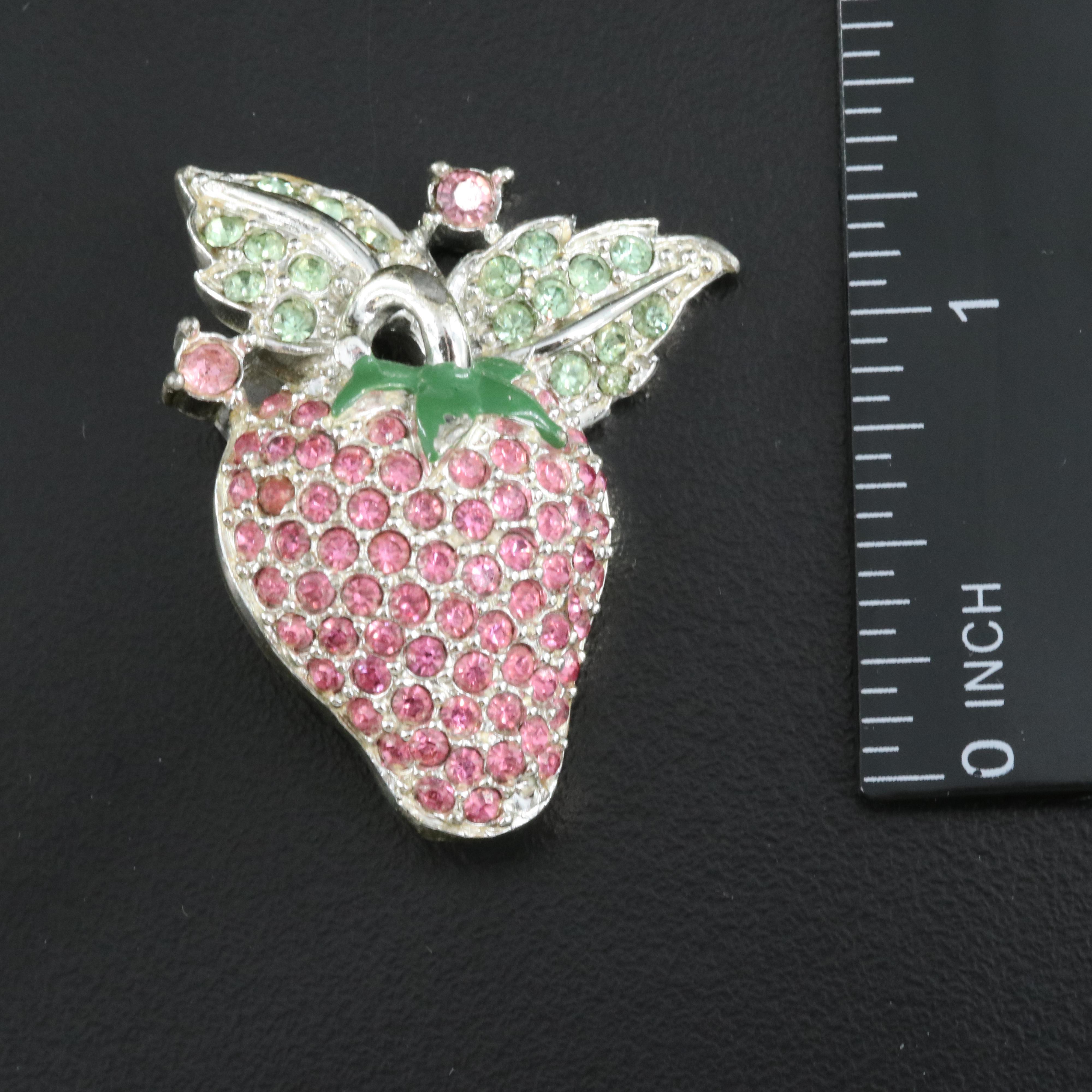 Flora and Fauna Including Whiting and Davis and Catharine Jackson