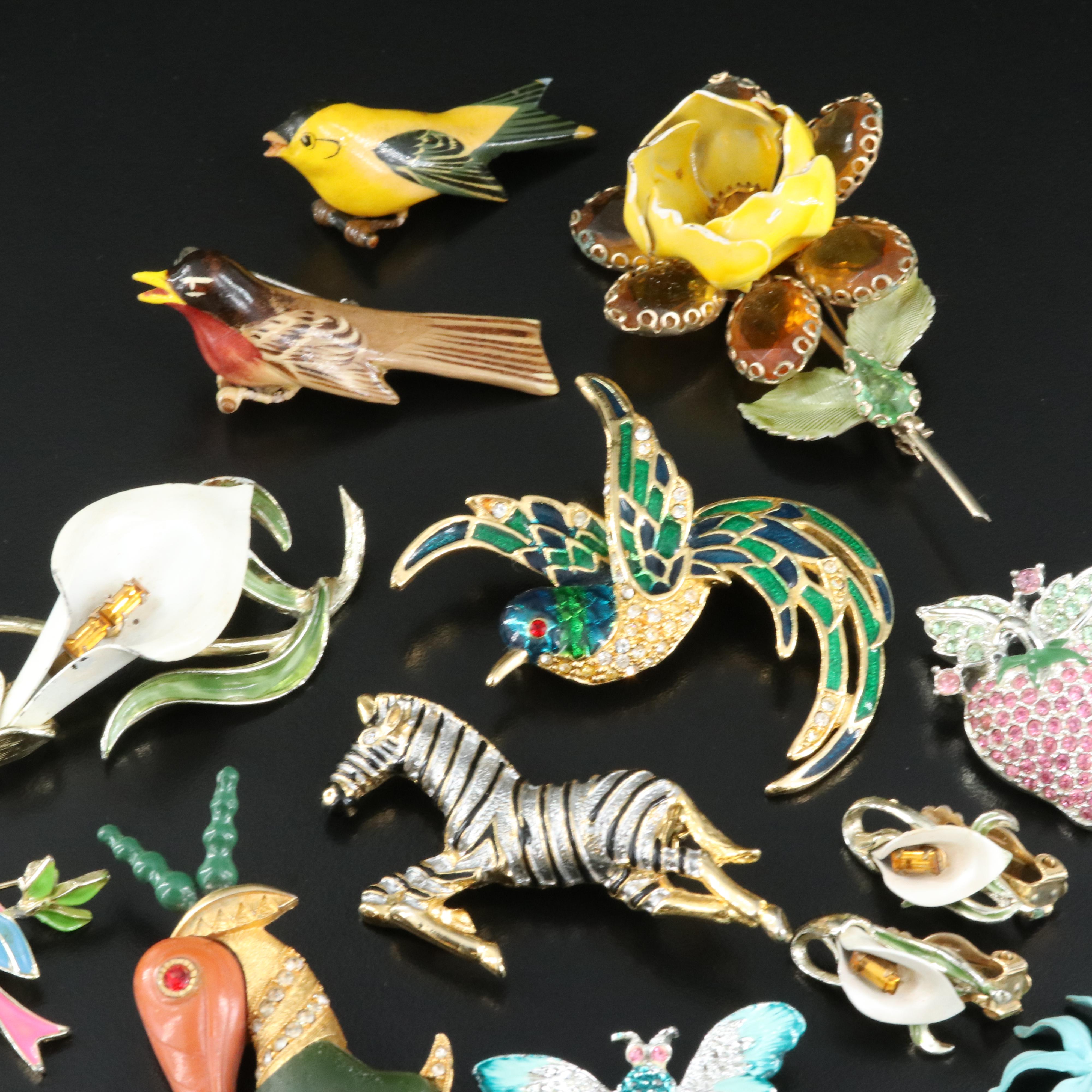 Flora and Fauna Including Whiting and Davis and Catharine Jackson