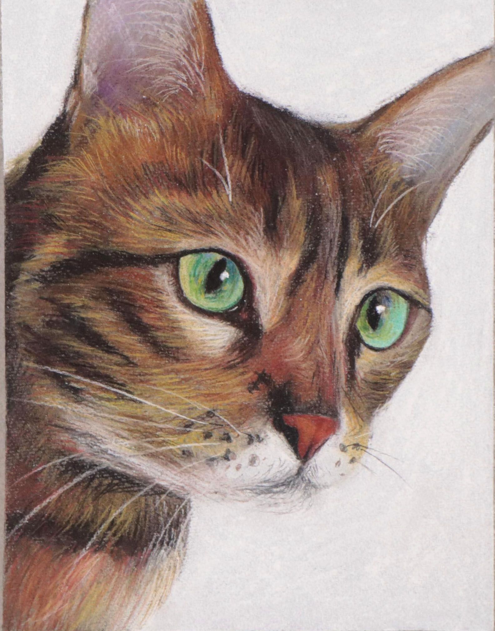 Olena Dmytriv Pastel Drawing of a Cat, 2022