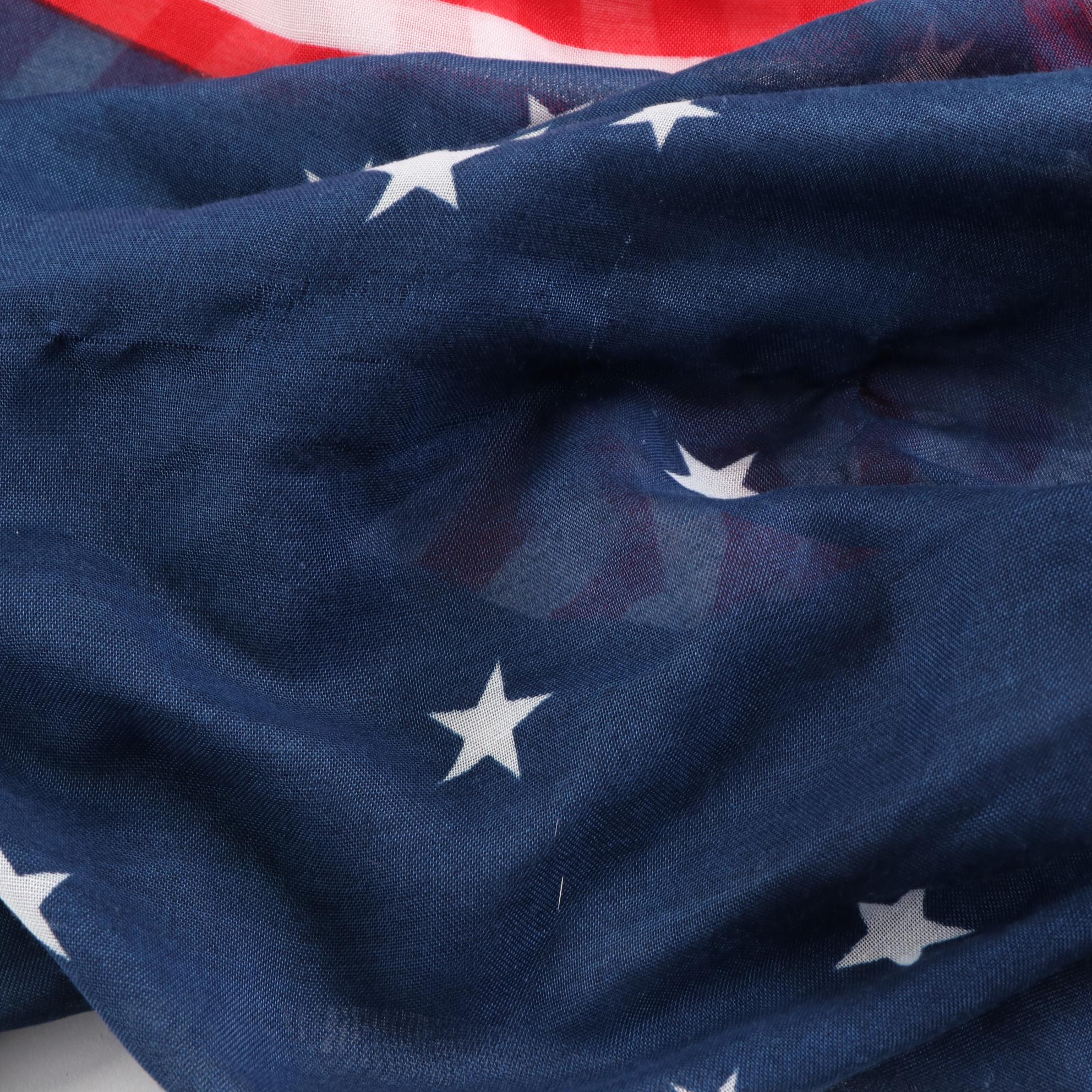 Collectioneighteen American Flag Print Shawl with Anne Klein Paisley Scarf