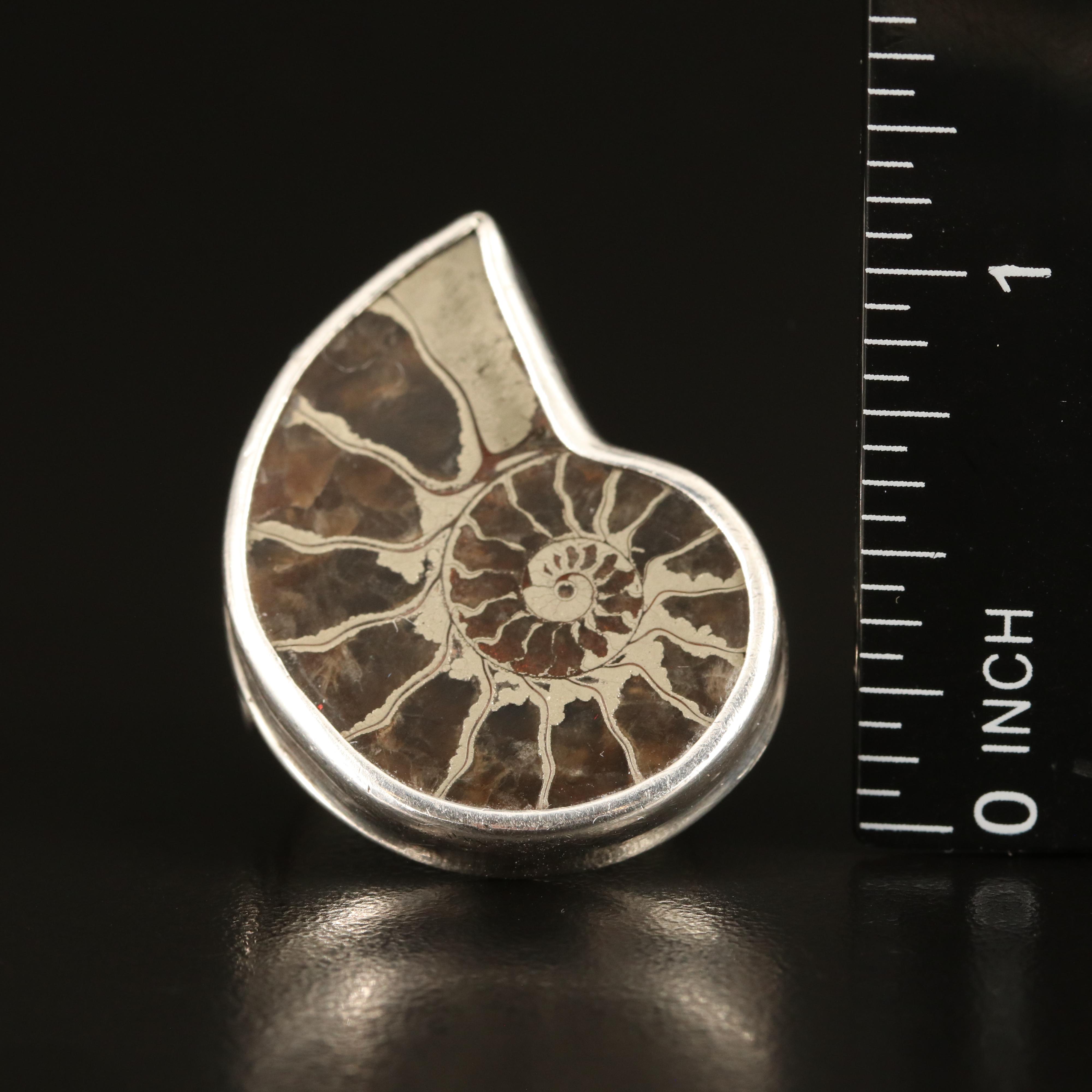 Sterling Ammonite Ring