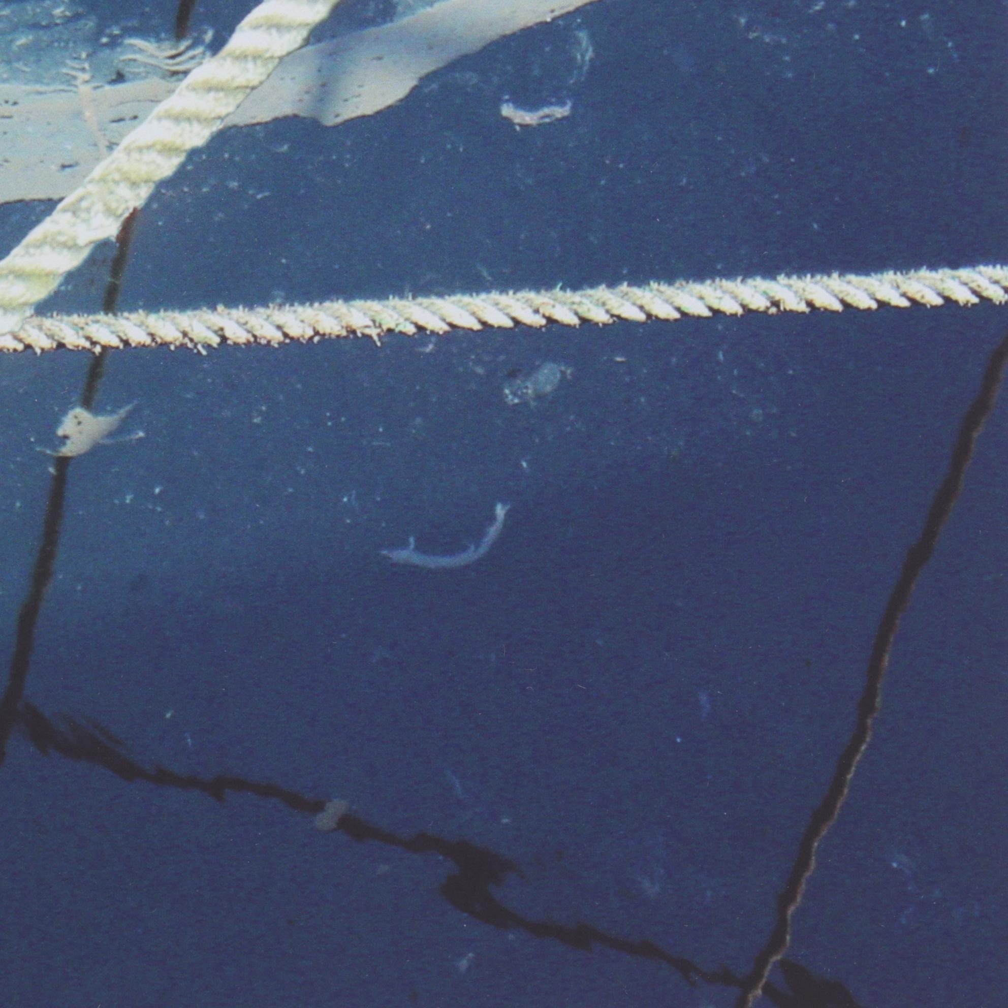 Adrian Lack Giclée "Nautical II," 21st Century