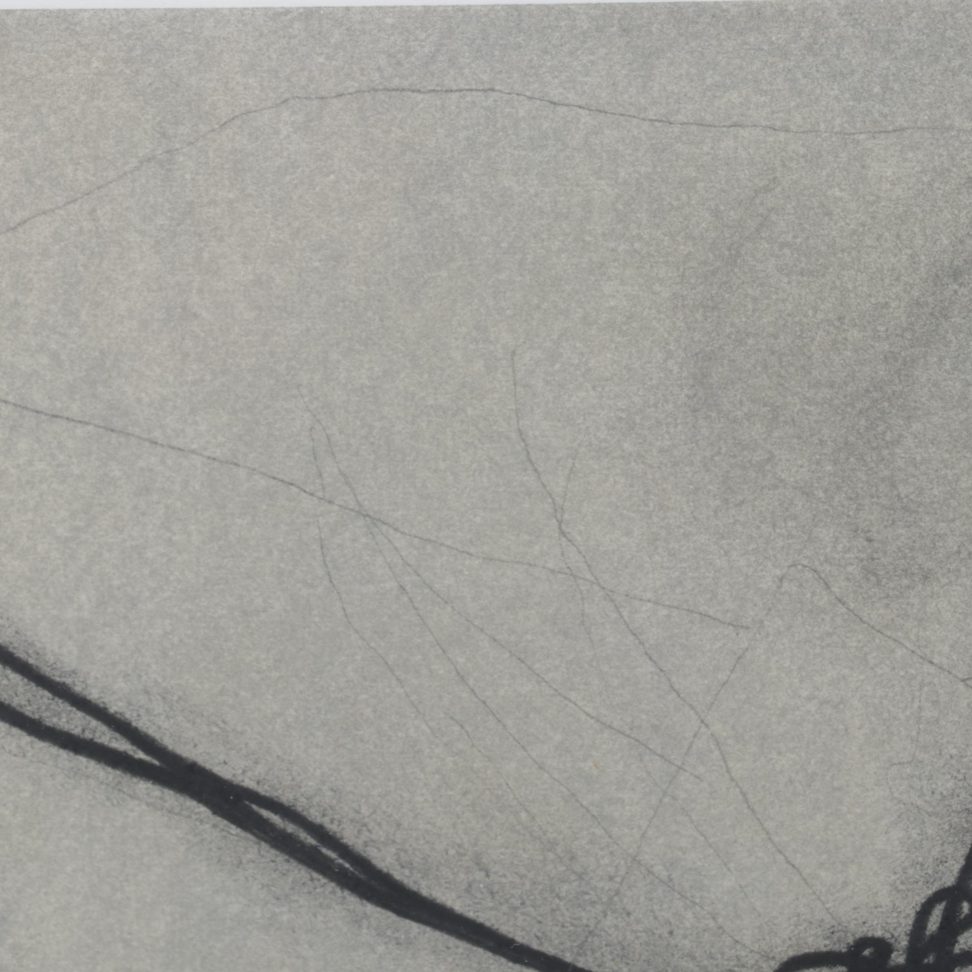 Greg Murr Pastel and Charcoal Drawing "Knot/Tangle," 1999