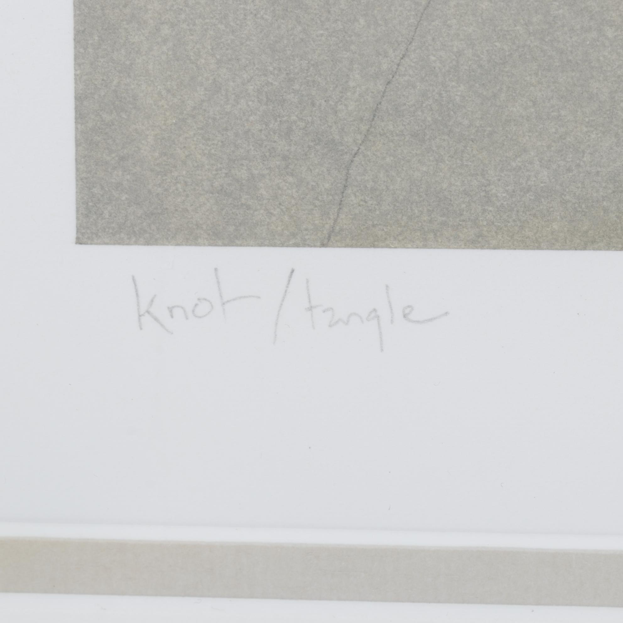 Greg Murr Pastel and Charcoal Drawing "Knot/Tangle," 1999