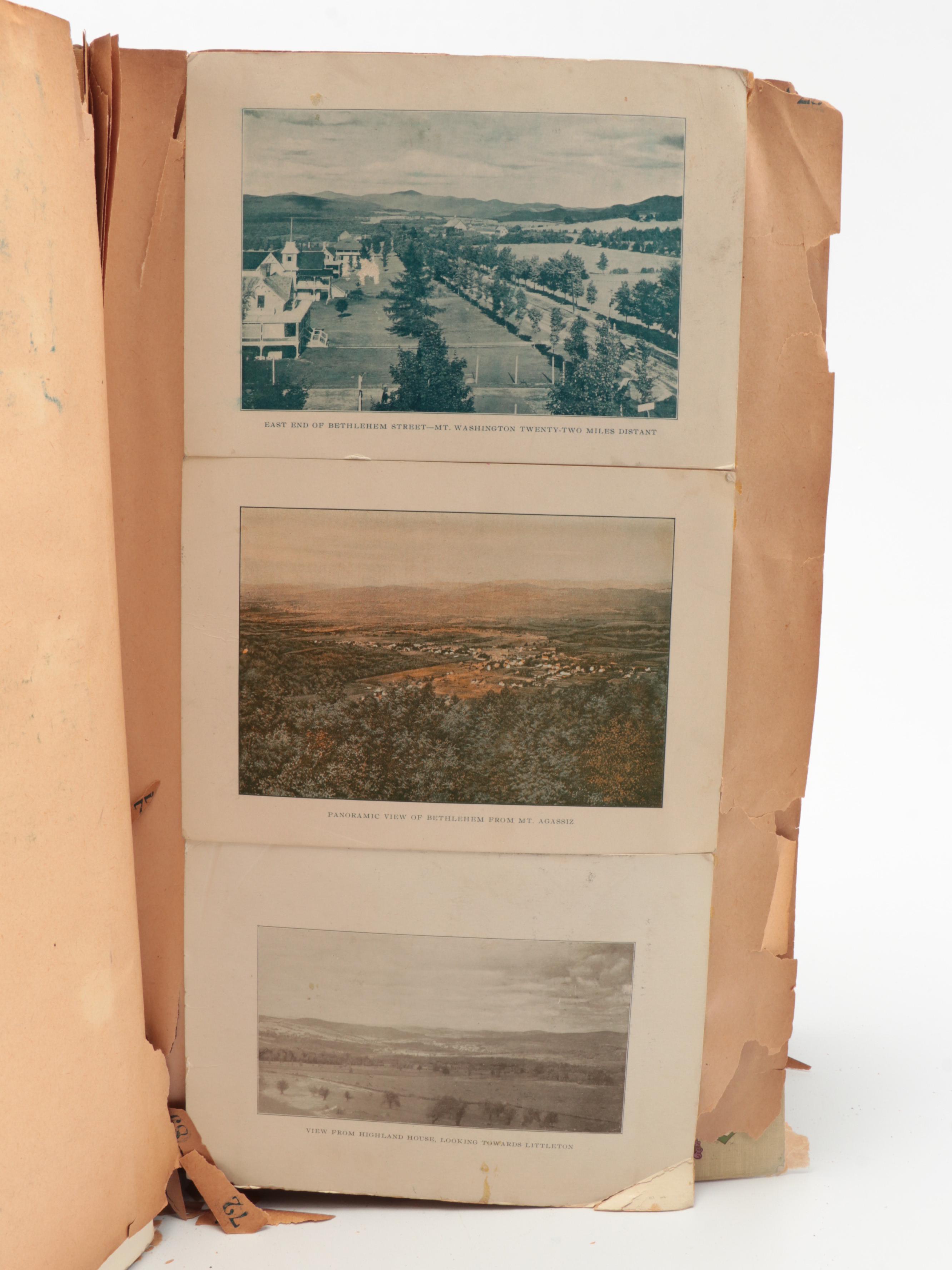 Postcard Albums with Travel Postcards and Stamps