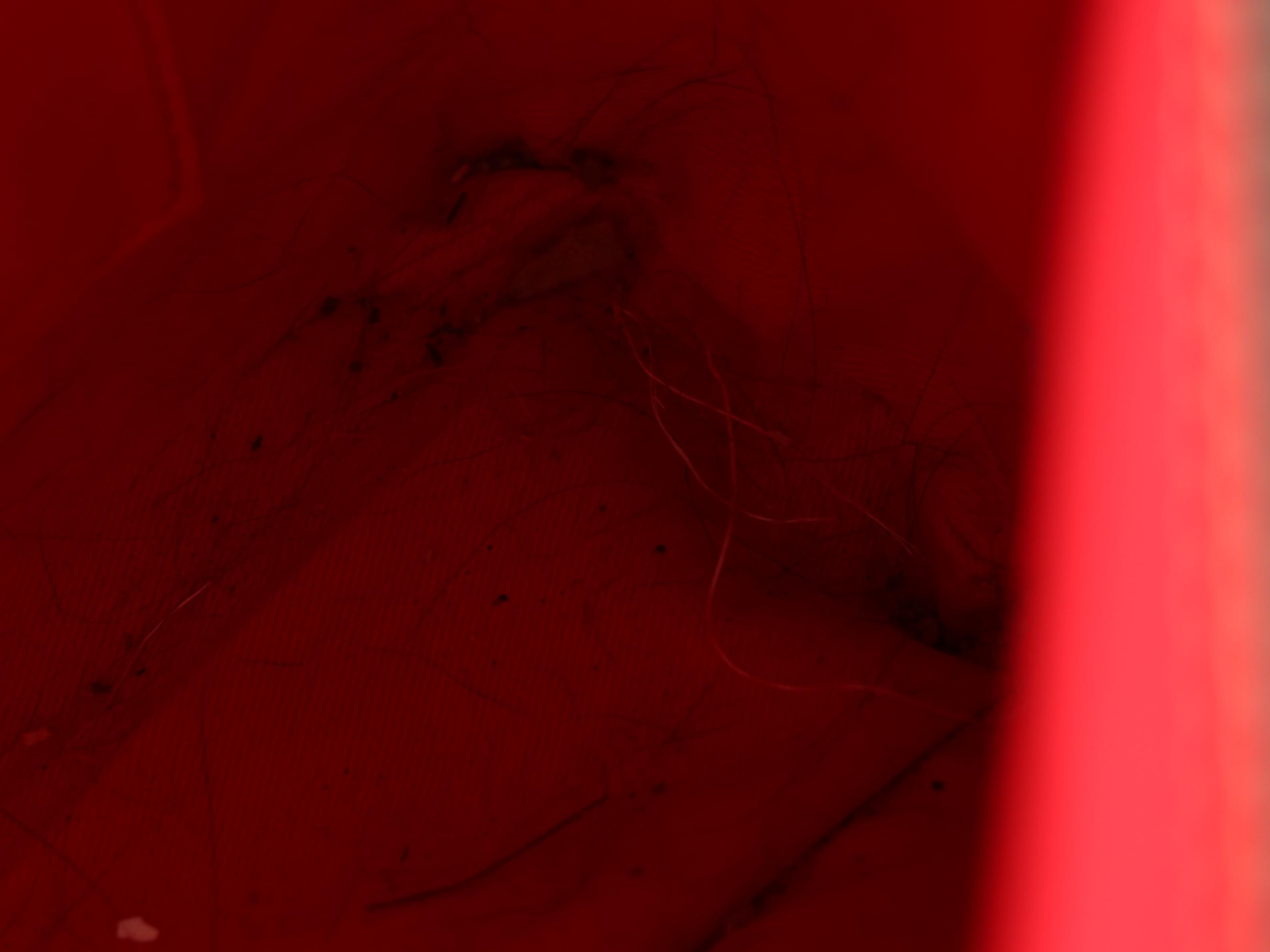 Dooney & Bourke Disney Tote Bag in Embossed Leather