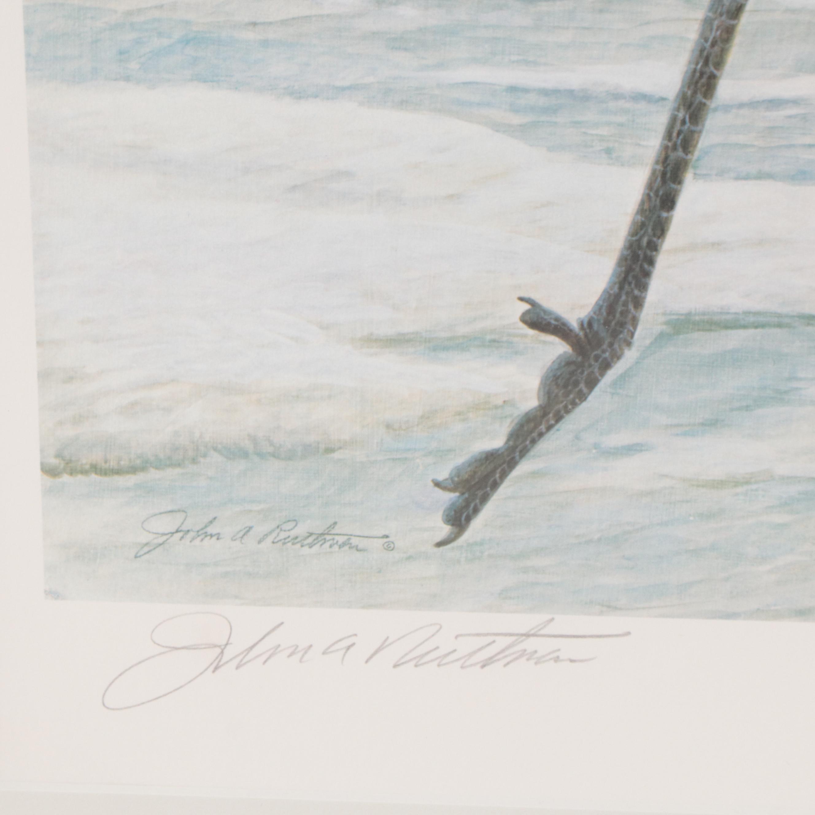 John A. Ruthven Offset Lithograph "Snow Dance: Red-Crowned Cranes"