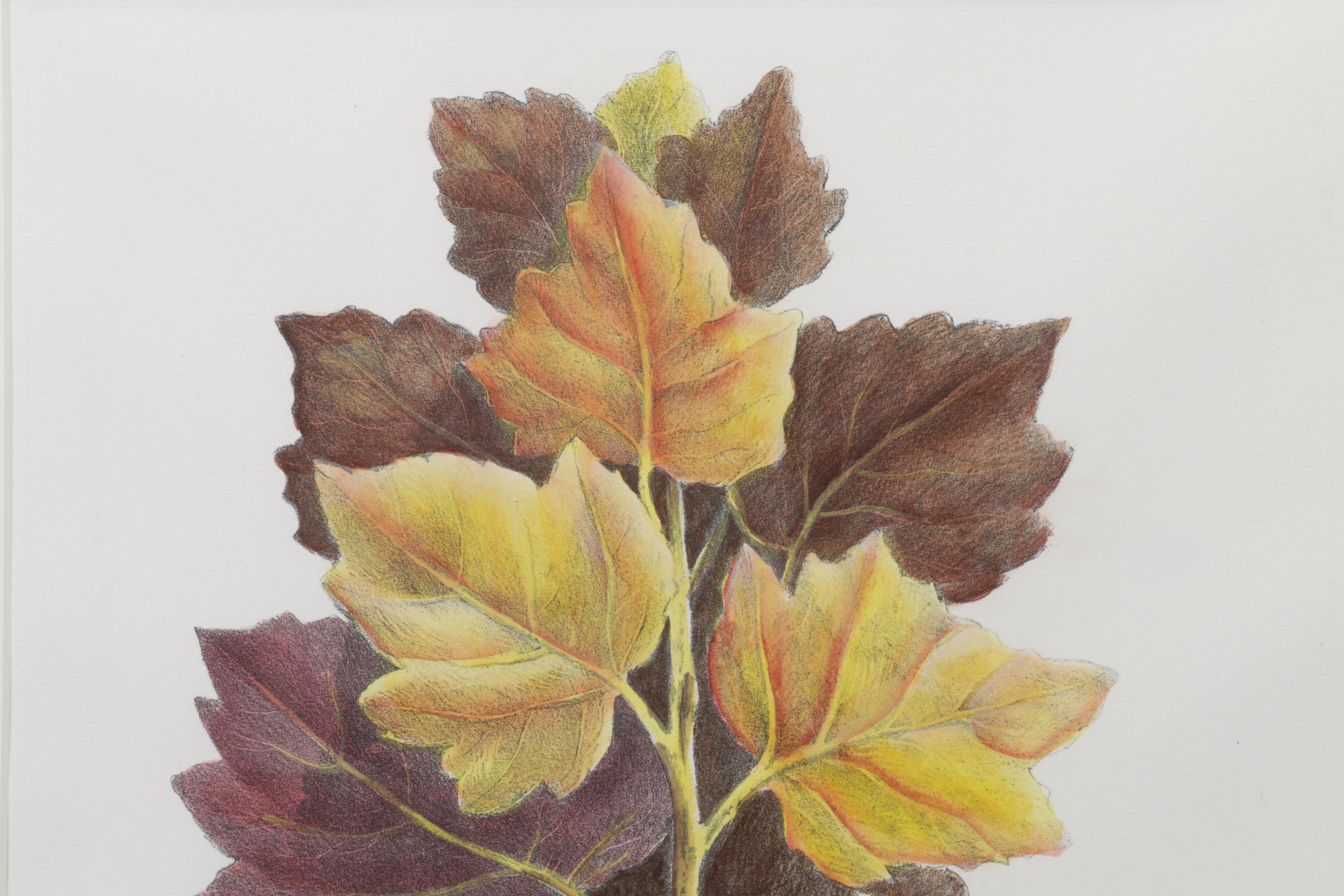 Popular Foliage Hand-Colored Lithographs After Gérard Paul Deshayes