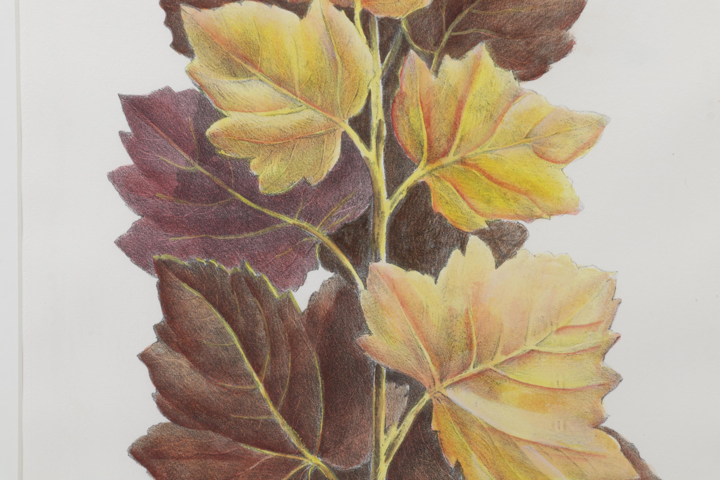 Popular Foliage Hand-Colored Lithographs After Gérard Paul Deshayes