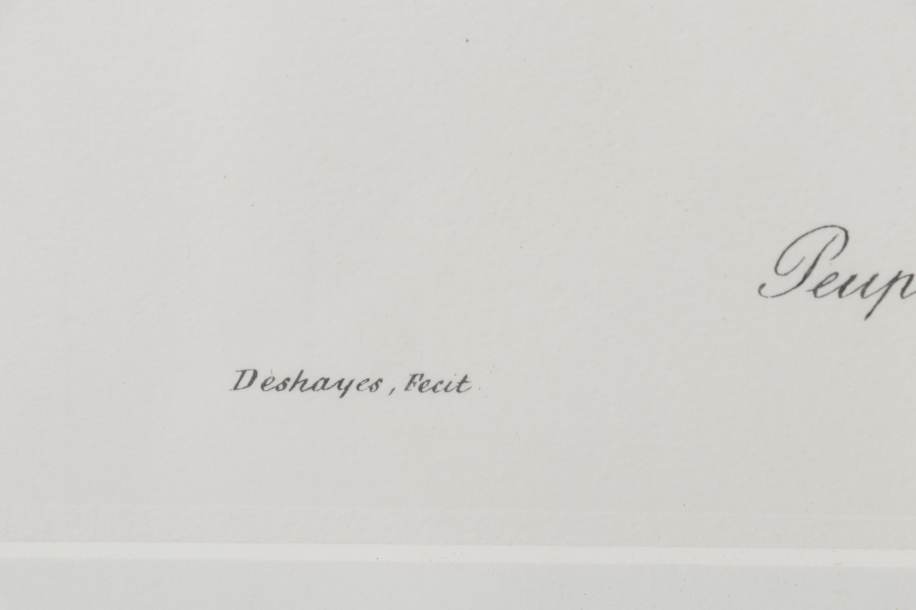 Popular Foliage Hand-Colored Lithographs After Gérard Paul Deshayes