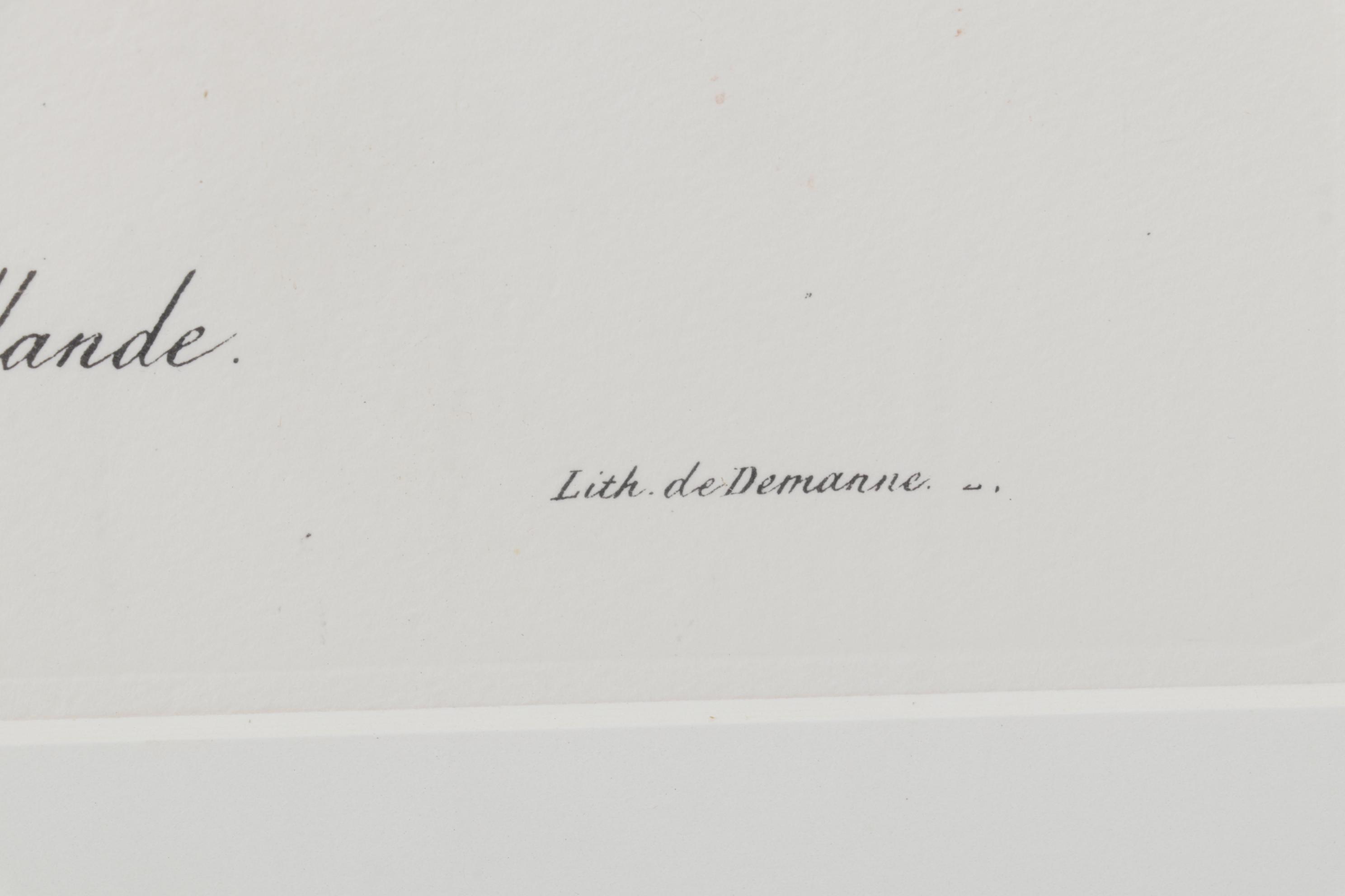 Popular Foliage Hand-Colored Lithographs After Gérard Paul Deshayes