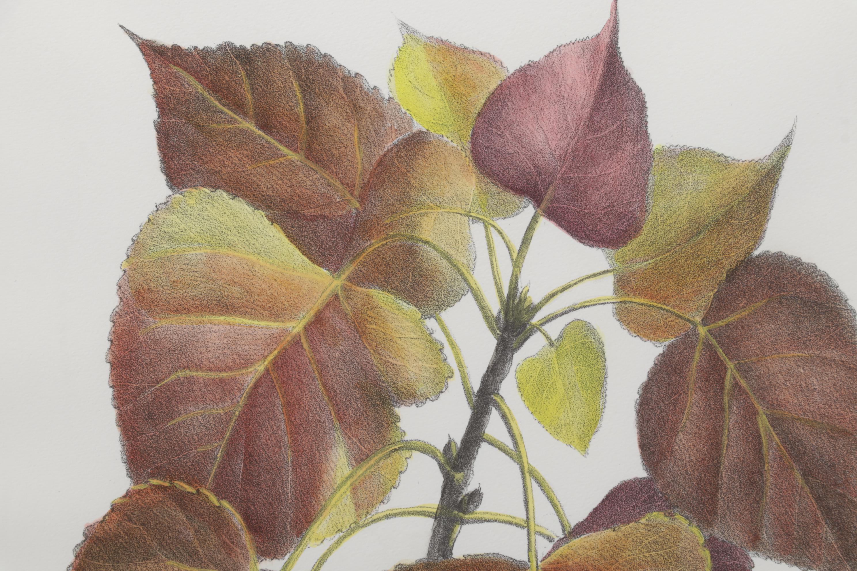 Popular Foliage Hand-Colored Lithographs After Gérard Paul Deshayes