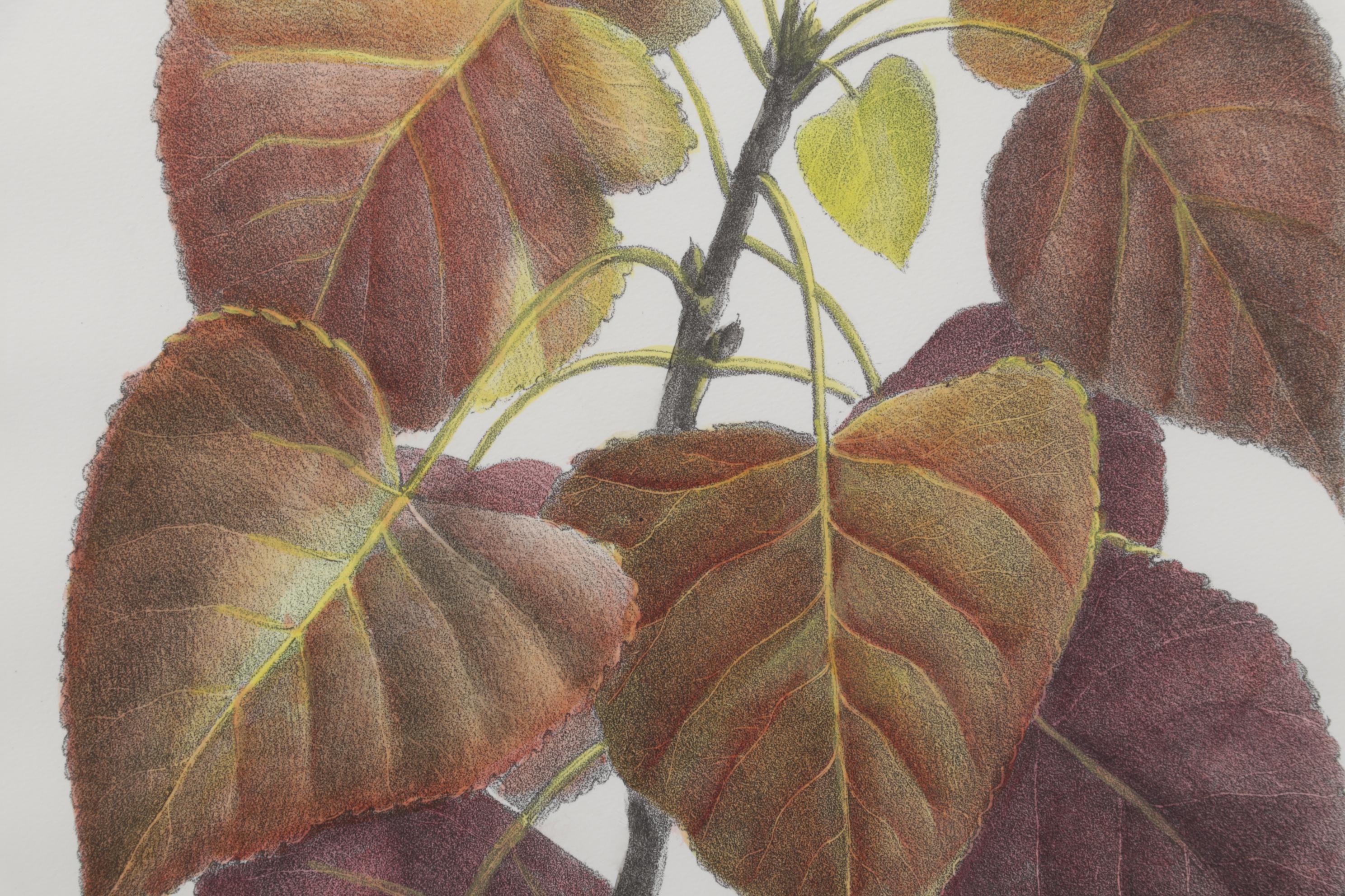 Popular Foliage Hand-Colored Lithographs After Gérard Paul Deshayes