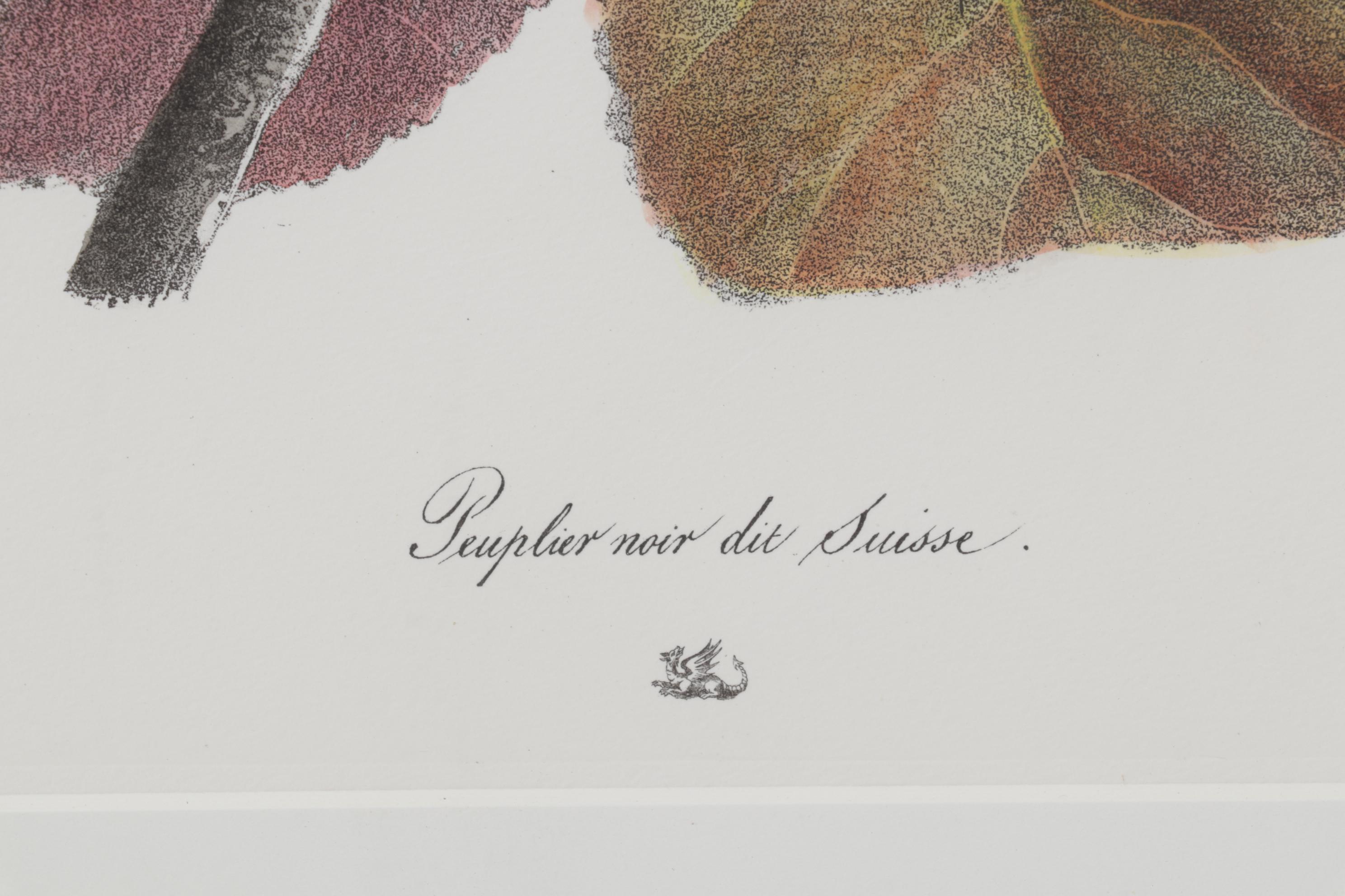 Popular Foliage Hand-Colored Lithographs After Gérard Paul Deshayes