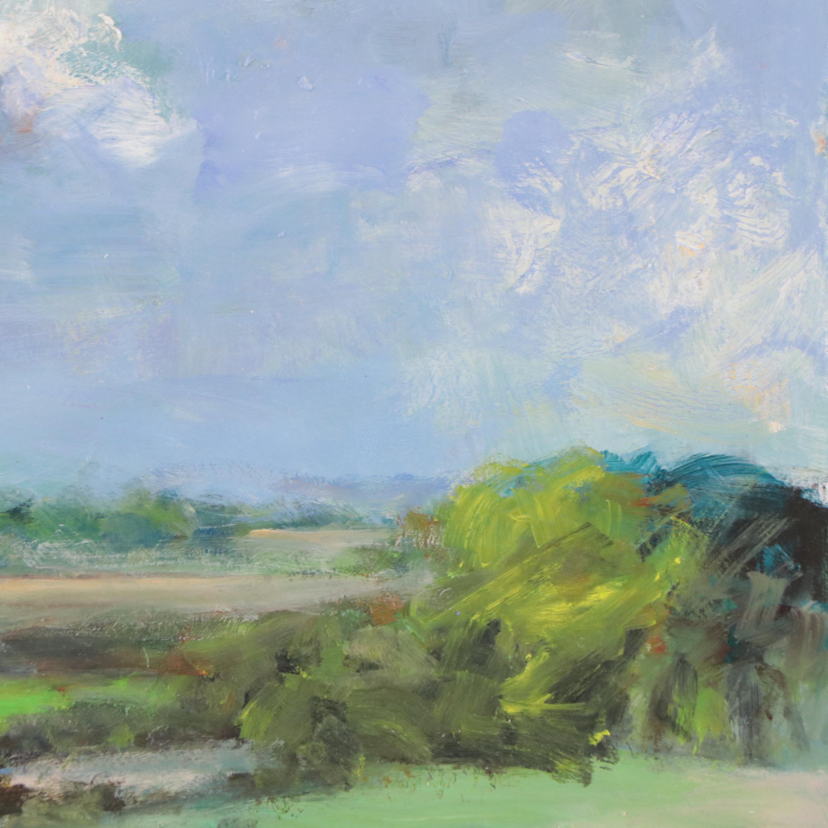 Nino Pippa Oil Painting "Provence - Irises Field"